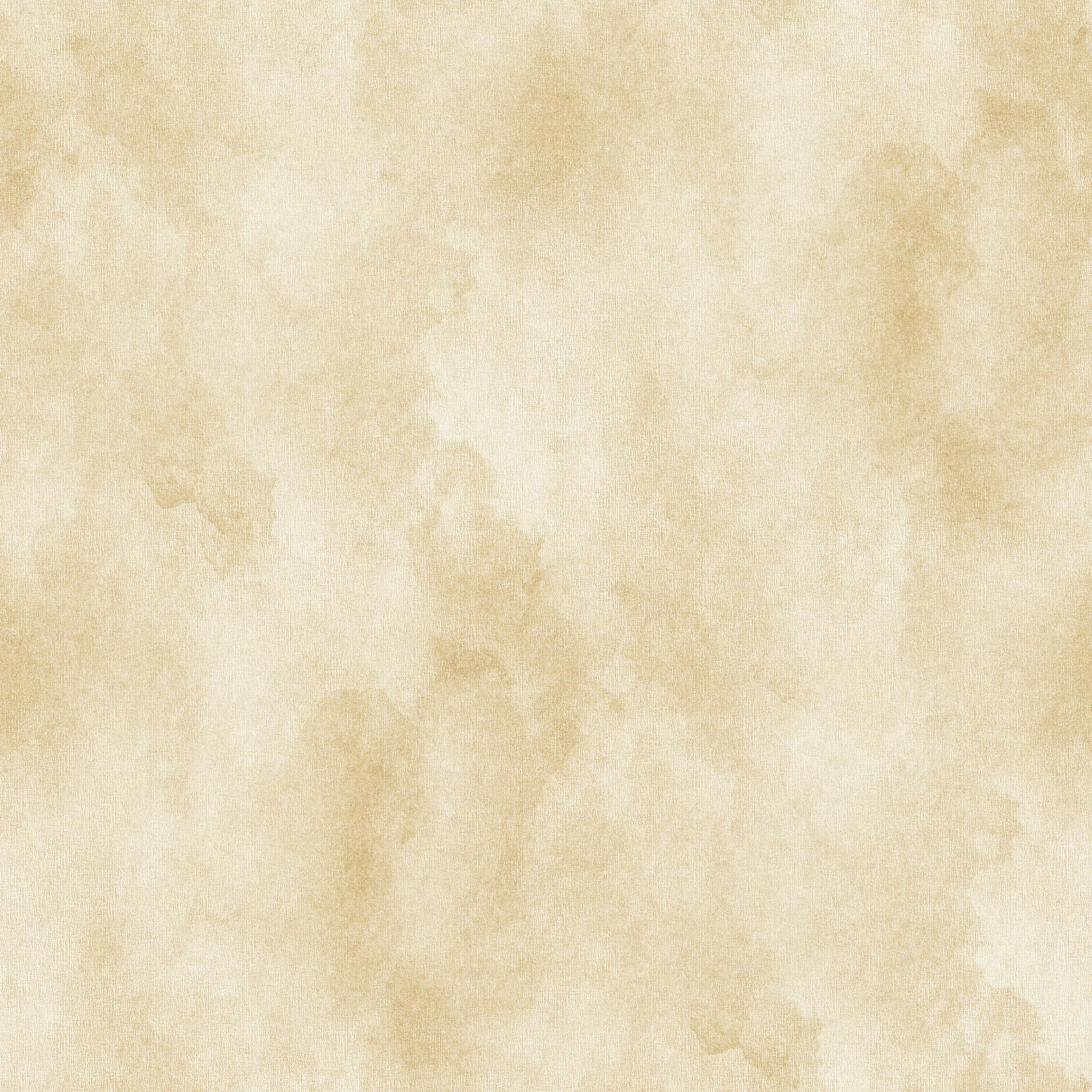 "Wall Blush Champagne Wallpaper demonstrating its elegant texture for a luxurious living room ambiance."
(Note: The image provided does not depict a room setting, so I’ve described the wallpaper itself and suggested a room type where it might typically be used, based on the product title and brand.)