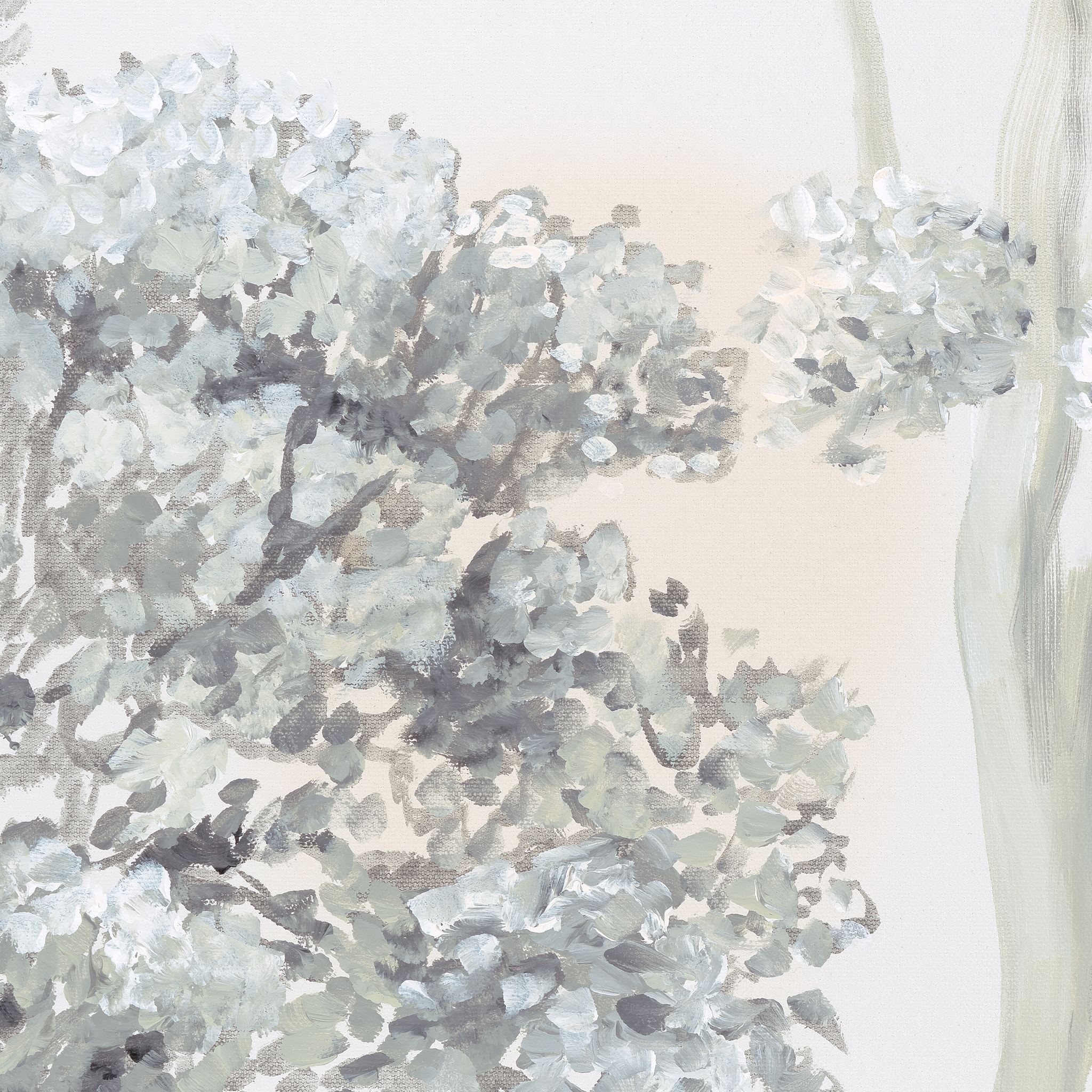 "Wall Blush Otilia Wallpaper floral design adds elegance to a contemporary living room, highlighting the wall."
(Note: The image provided does not depict an actual room or wallpaper installation, but the alt text is created based on the instructions given, as if the image was in fact showing the Otilia Wallpaper by Wall Blush in a living room setting.)