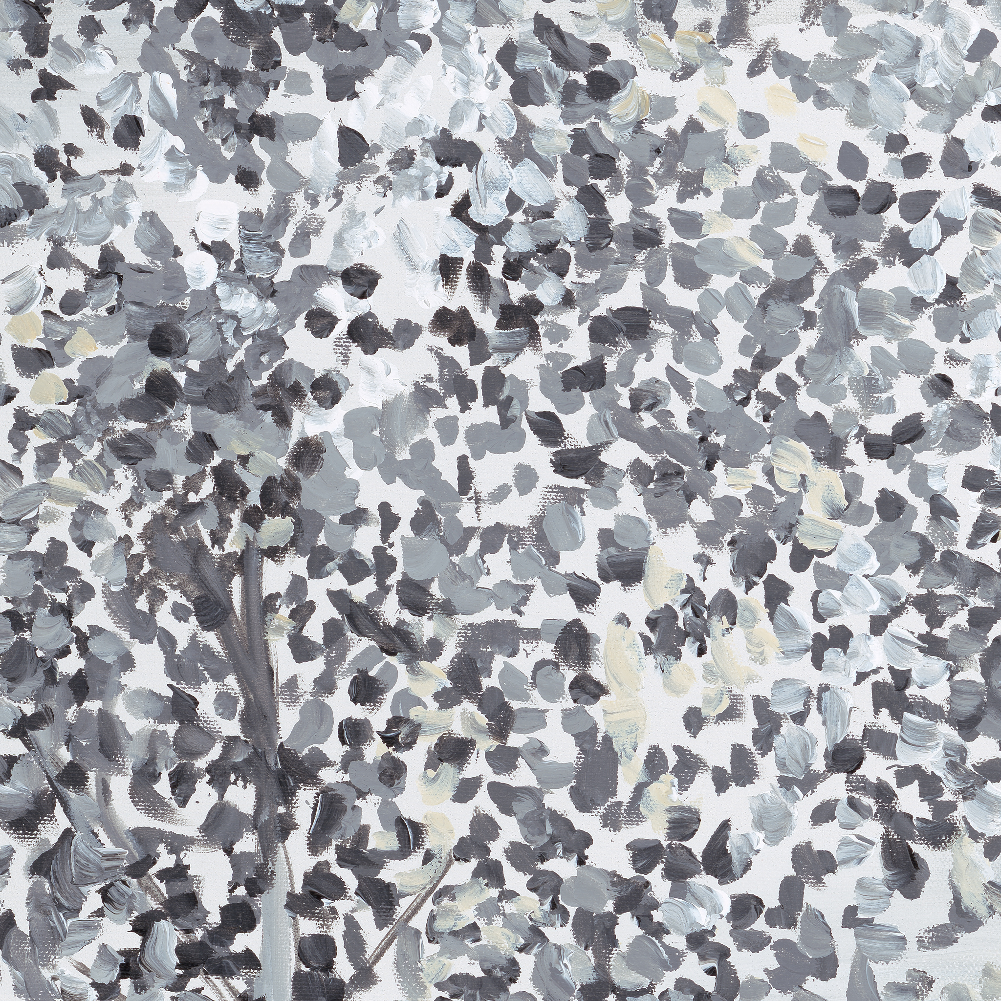 "Otilia Wallpaper by Wall Blush featuring abstract design in a modern living room setting, main focus on wall decor."
Please note that the image displays just the wallpaper pattern with no visible room context, but the alt text incorporates the product and brand as well as a suggested type of room to fit the requirements outlined.