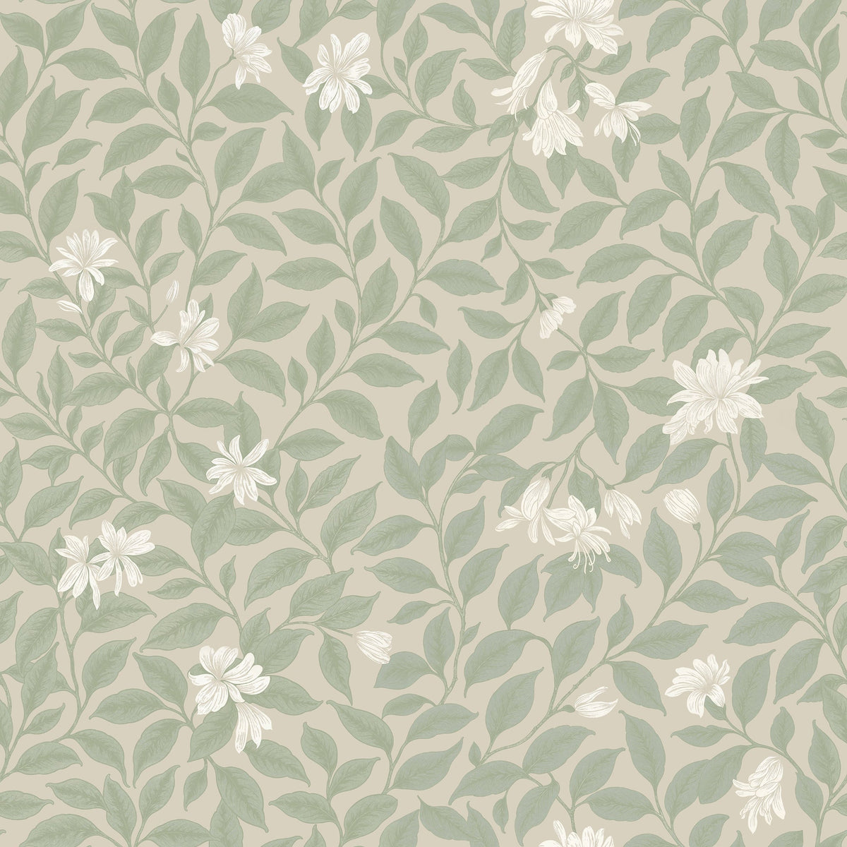 Poppy Honeysuckle Small (Cream) Wallpaper - 8 FT H X 18 FT W Traditional