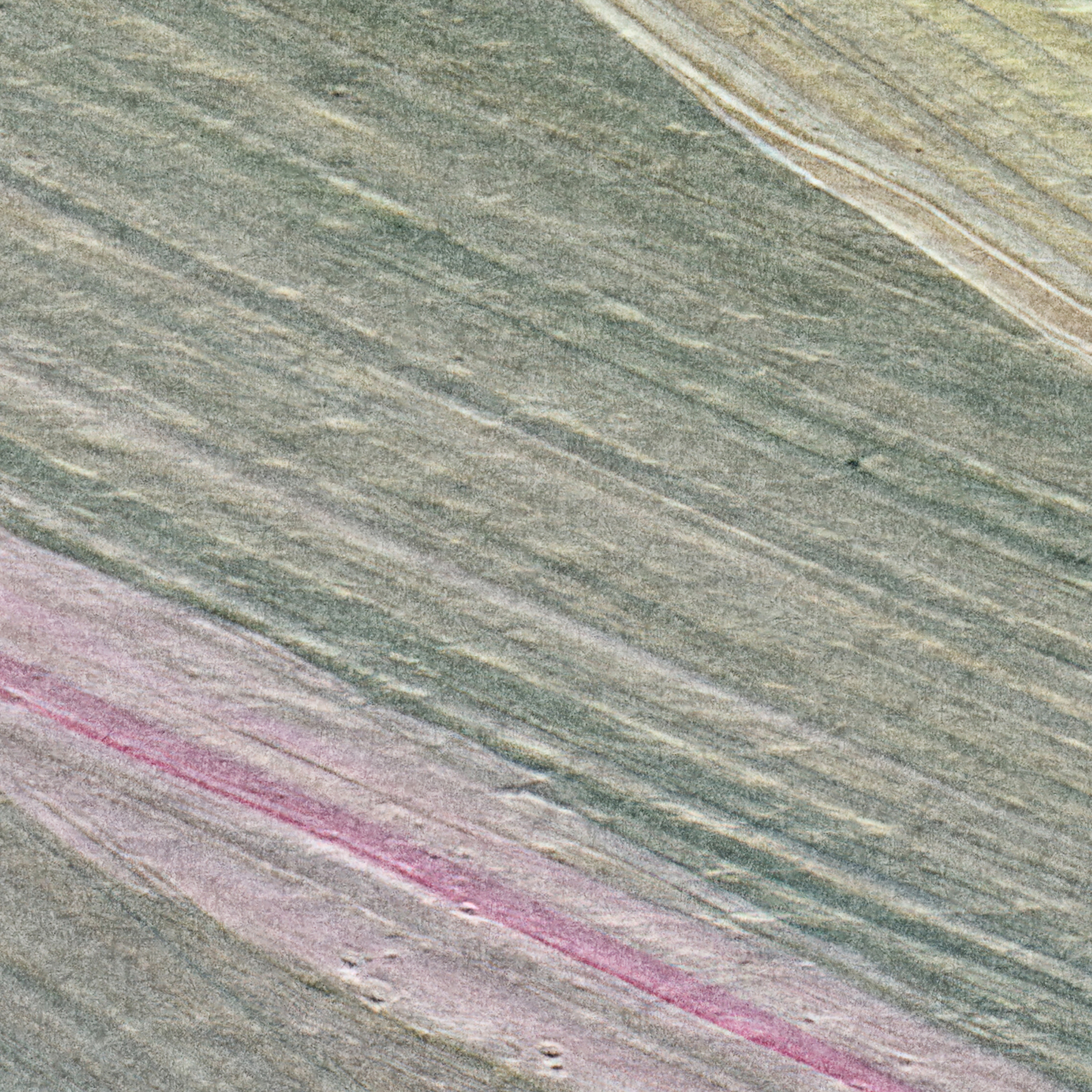 Talia Wallpaper Wallpaper - The Stefanie Bloom Line from WALL BLUSH