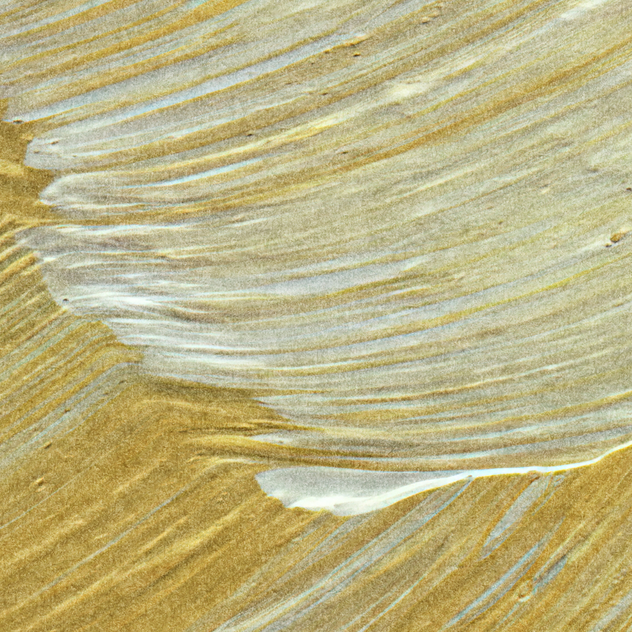 Talia Wallpaper Wallpaper - The Stefanie Bloom Line from WALL BLUSH