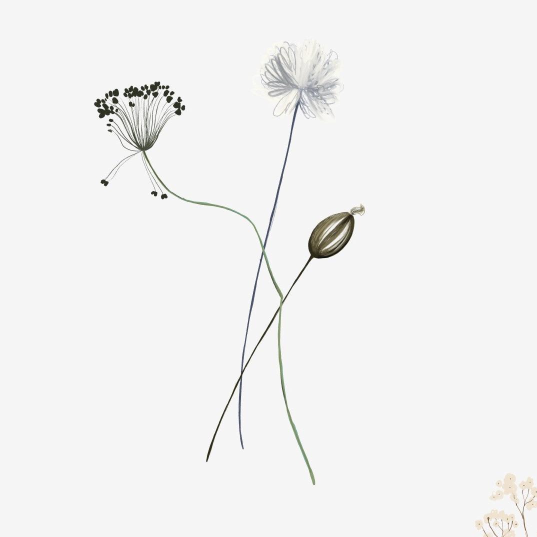 Prairie Wallpaper by Wall Blush SM01 featuring delicate floral design ideal for a modern living space.