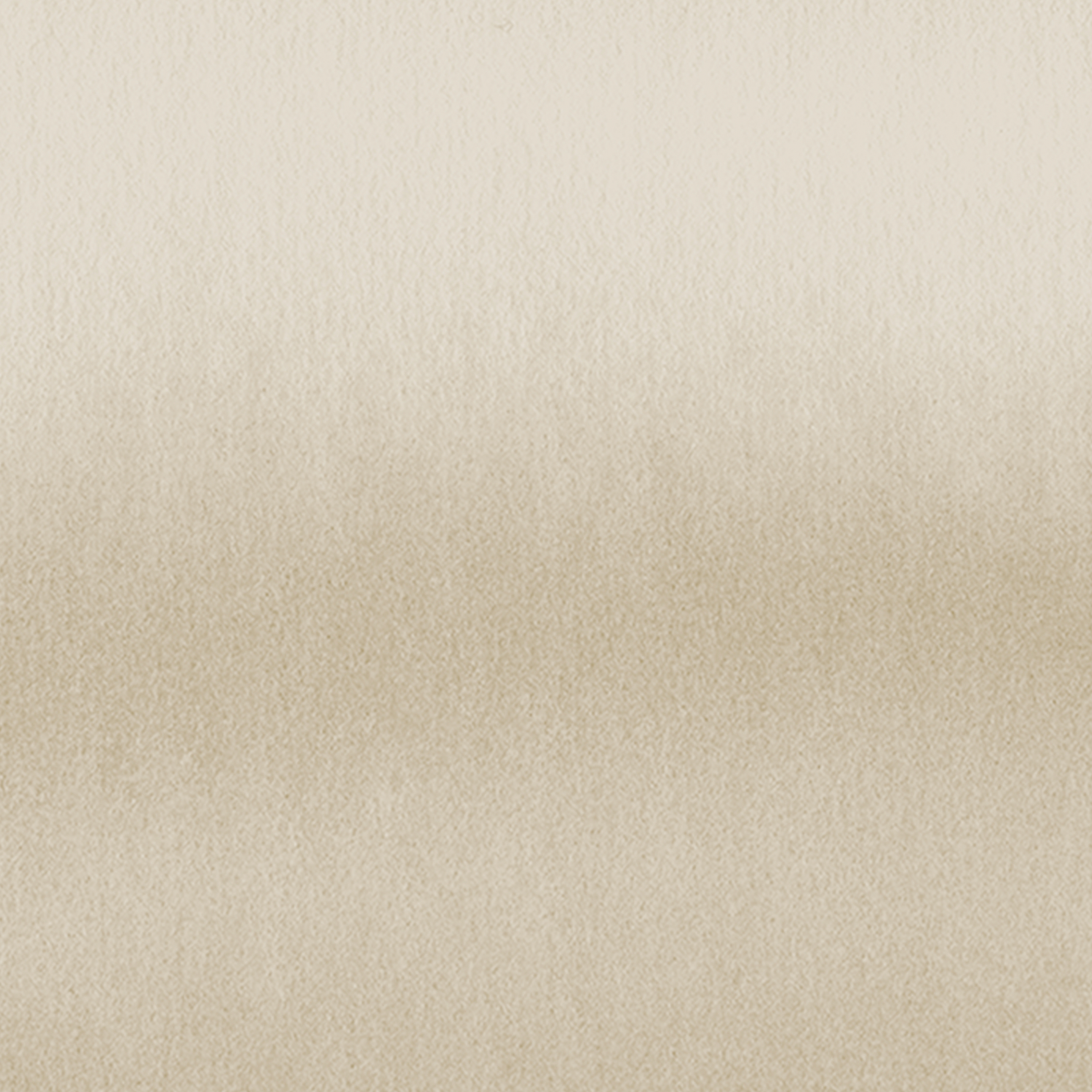 Fraya (Oatmeal) Wallpaper from The Ania Zwara Line elegantly displayed in a modern living room.