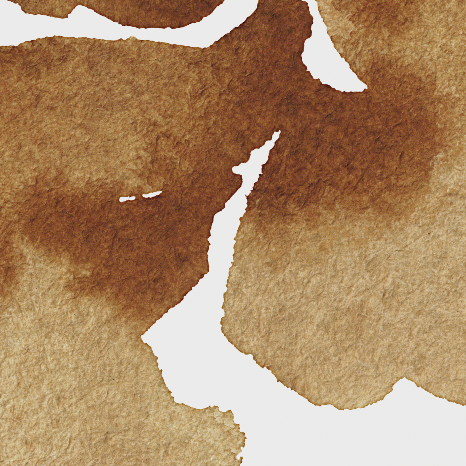 Portland (Muted White Edition) - WALL BLUSH