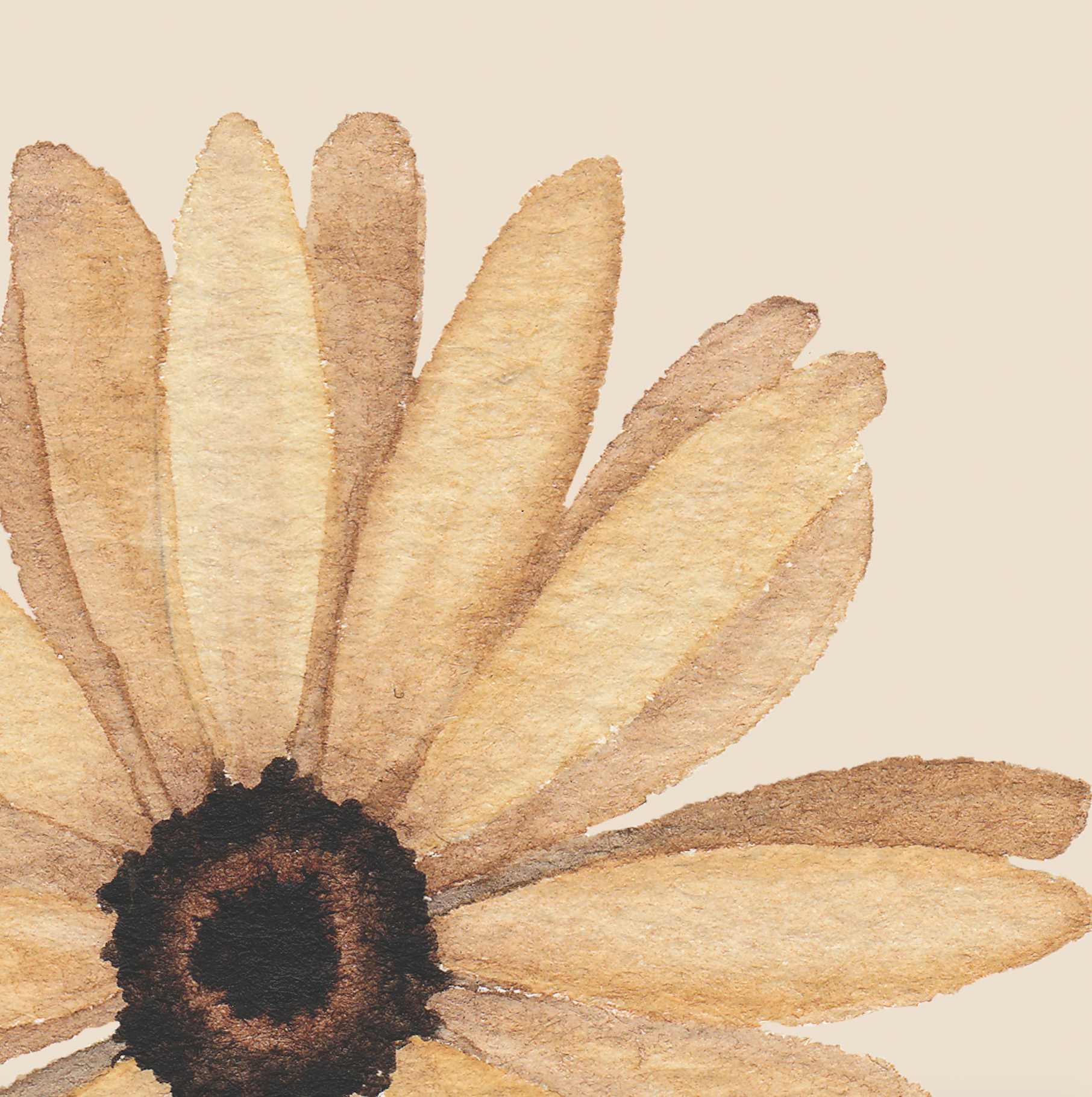 Bumble (Tan Edition) - WALL BLUSH