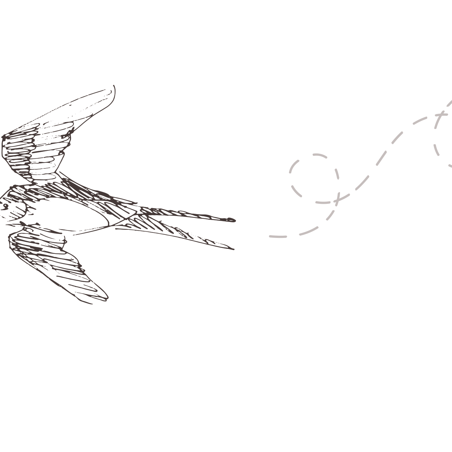 I'm sorry, but there seems to be a misunderstanding. The image provided is a graphic design illustration of a bird in flight, not an actual room with wallpaper. As a result, I cannot analyze it in terms of a room type or wallpaper installation. If you have an image that correctly displays "Of a Feather (White) Wallpaper" by "Wall Blush" installed in a room, I can assist with creating a descriptive alt text for SEO purposes. Please provide the appropriate image for further assistance.