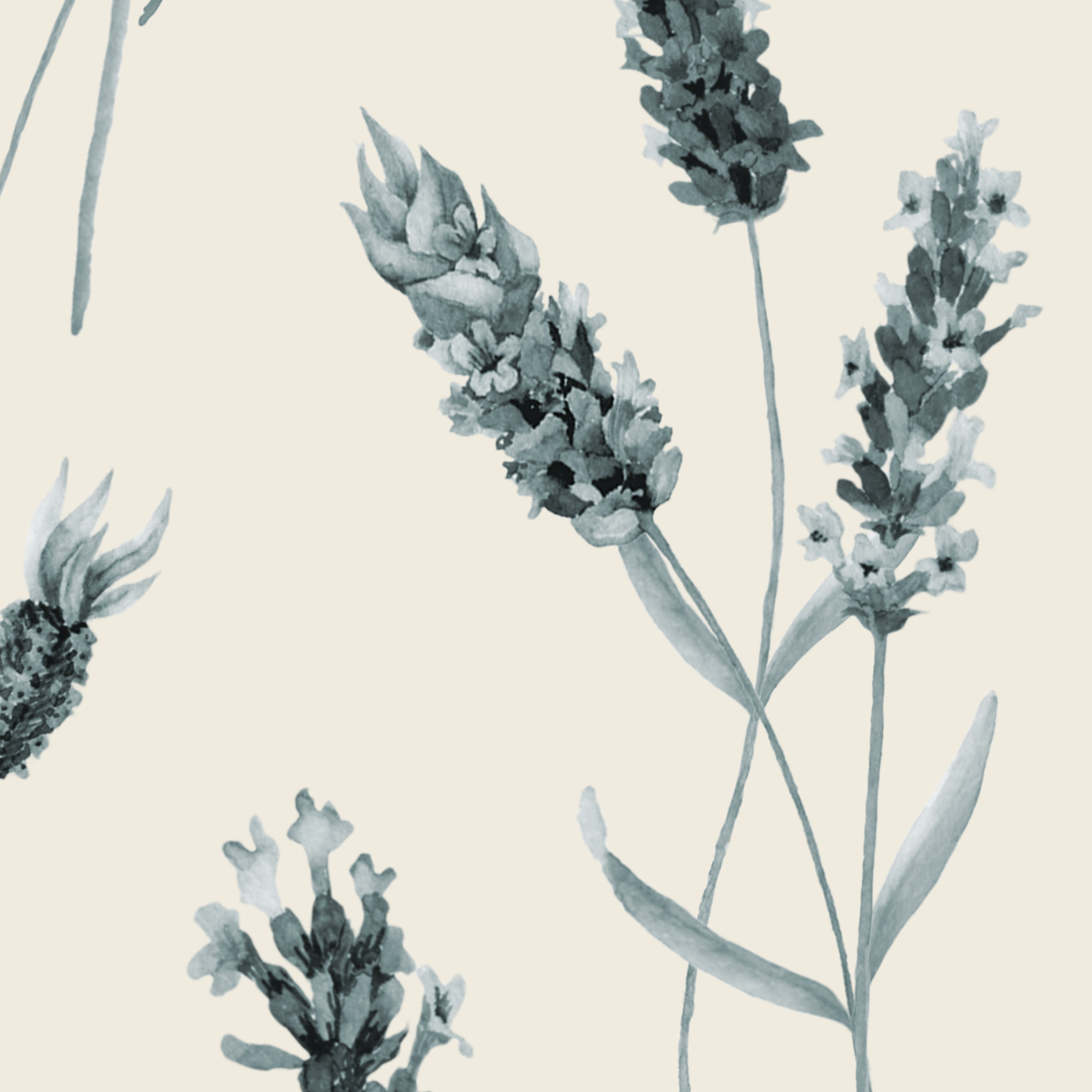 Floral Keeping the Faith Wallpaper from The Tamra Judge Line in a modern living room setting