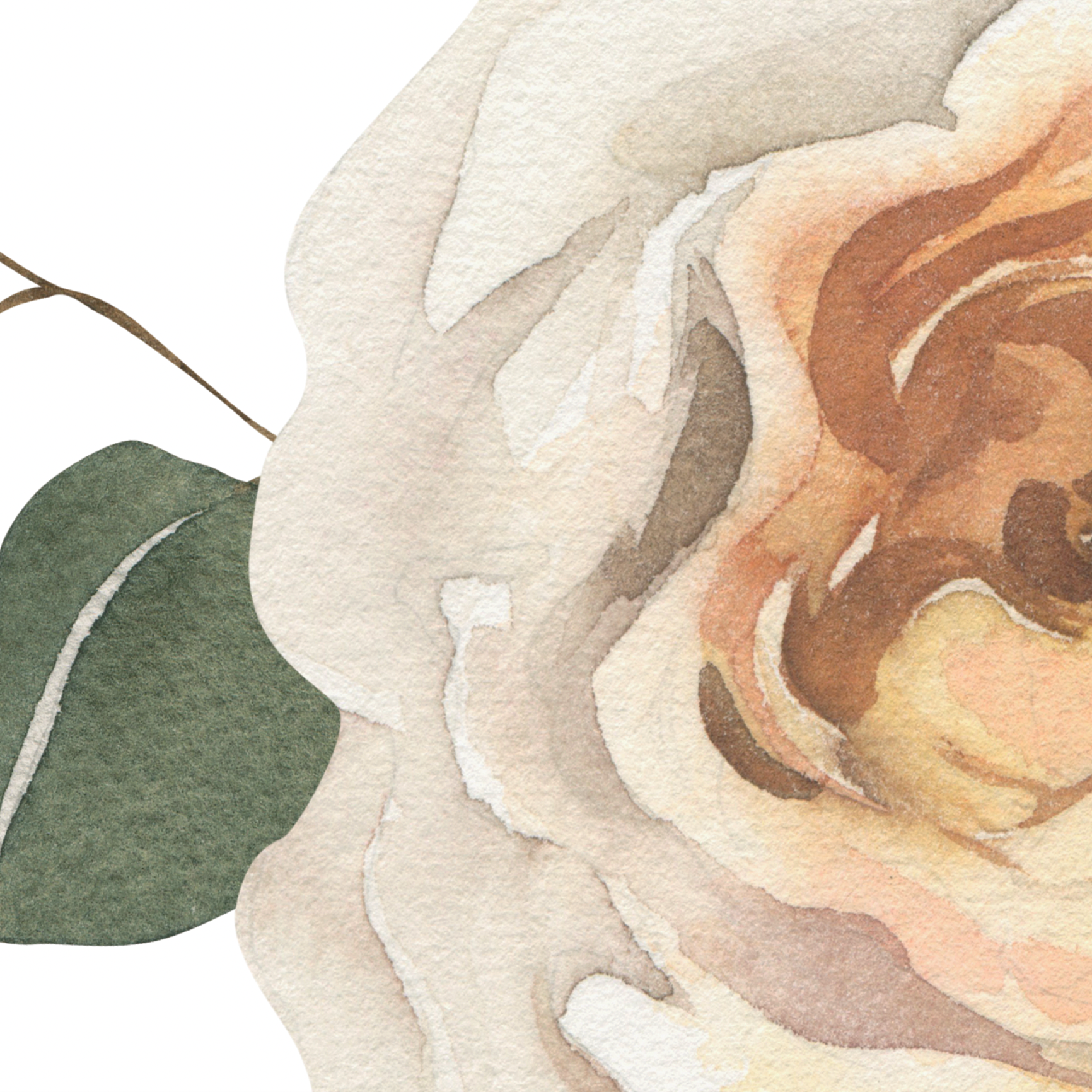 I'm sorry, but there seems to be a misunderstanding. The image provided is an illustration of a rose with leaves and does not depict a wallpapered room or any room at all. Therefore, I'm unable to generate an alt text based on the criteria you've specified since it doesn't match the content of the image. Could you please check and provide the correct image or criteria?