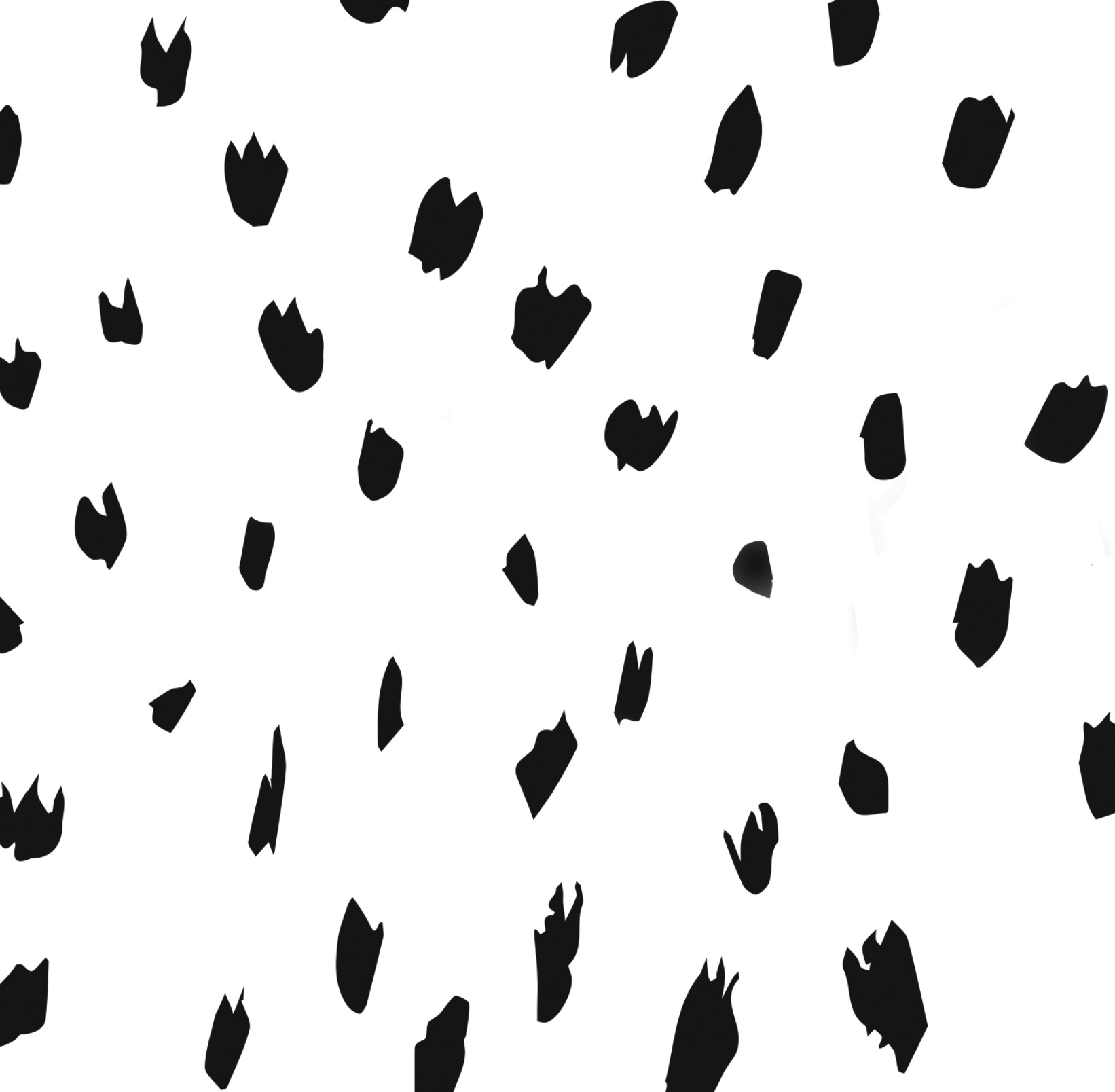 Charlie (Black and White Edition) - WALL BLUSH
