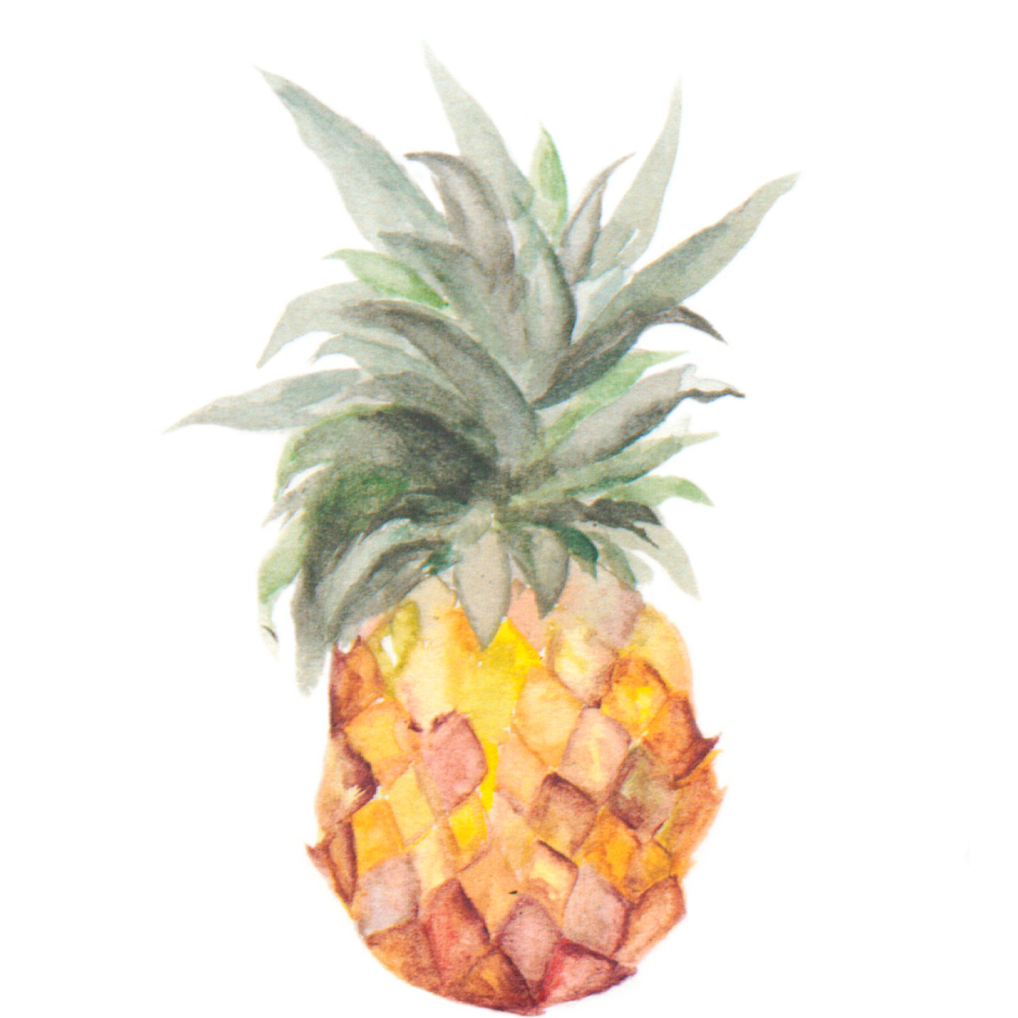 I'm sorry, but the image provided appears to be a watercolor illustration of a pineapple and does not depict a room with wallpaper. Therefore, I'm unable to prepare an alt text that includes the product title Tropic Like It's Hot Wallpaper, the brand The Salem Gideon Line, or the type of room in the image while ensuring that the wallpaper is the focus. Please provide an image that matches the description you would like incorporated into the alt text.