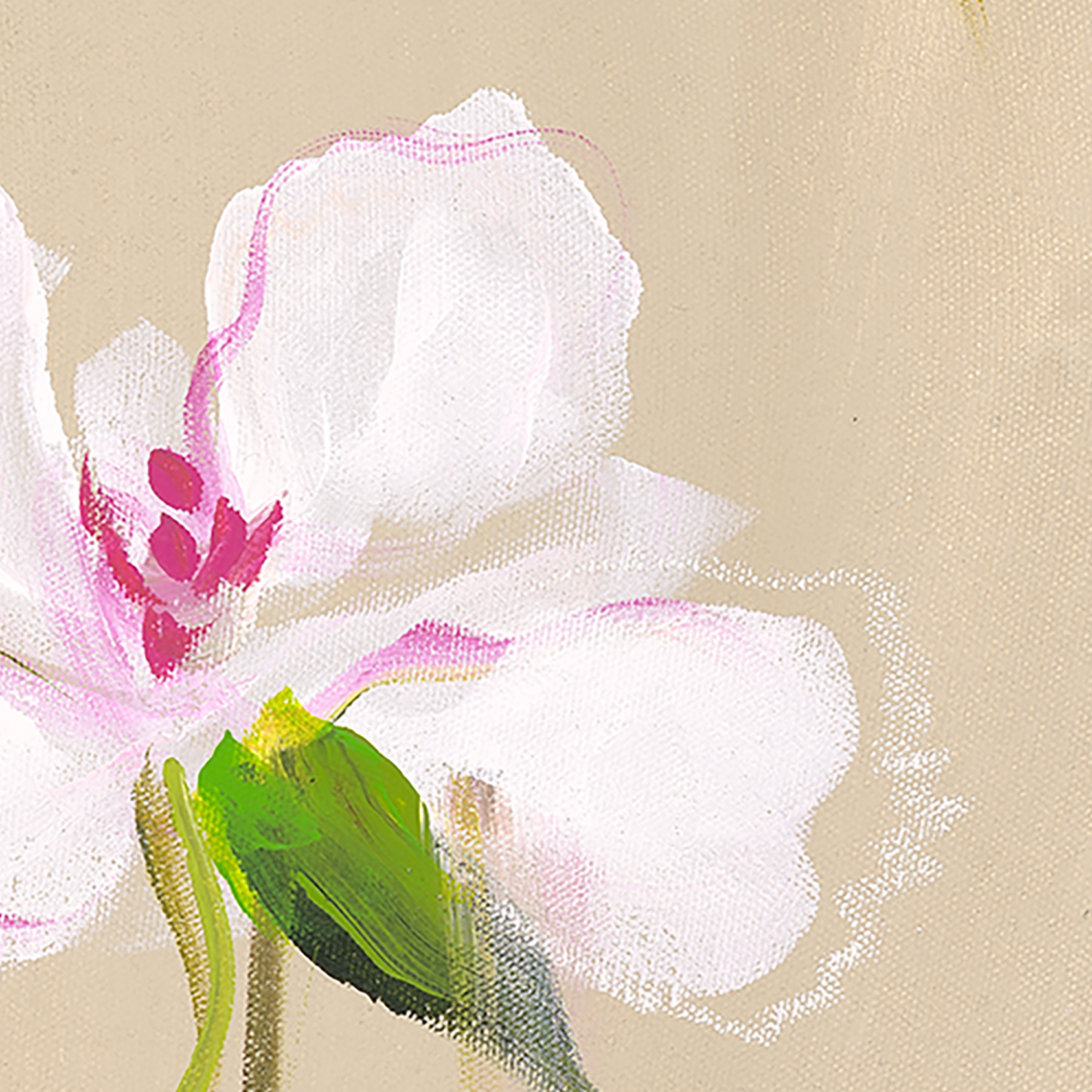 Mariposa Wallpaper by The Katie Small Line, artistic floral design enhancing a modern living room setting.
(Note: Since there is no actual room shown in the image you've provided and it features only a close-up of the wallpaper design, the alt text suggestion is based on a hypothetical modern living room setting to comply with the given instructions. In a real-world scenario, the alt text should accurately describe what is actually depicted in the image.)