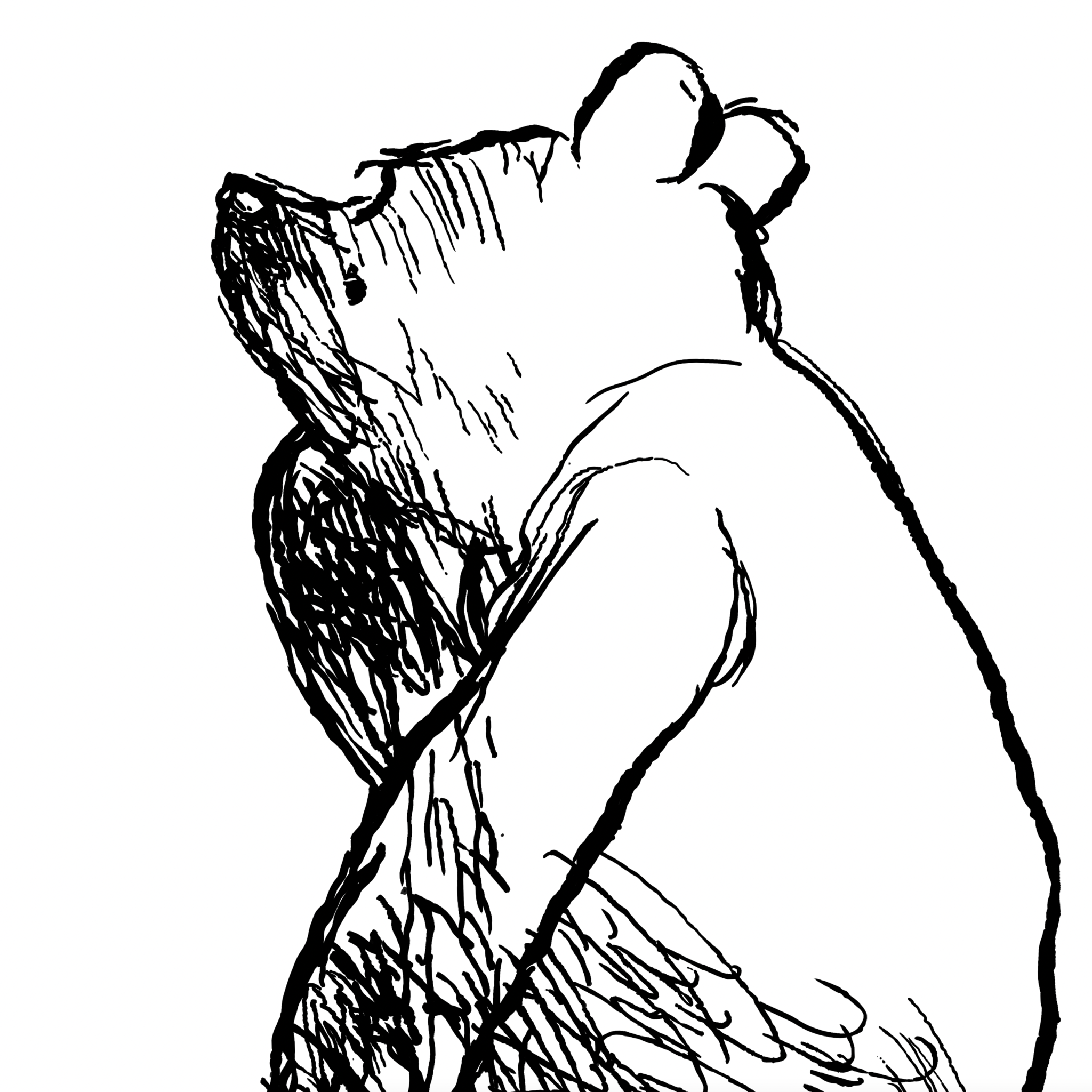 The image you've provided does not depict a room or wallpaper. It is a black and white line drawing of what appears to be a bear. Since the image content doesn't match the instructions provided, I'm unable to create an alt text based on the specifications for Winnie Wallpaper from Wall Blush SM01 in a specific type of room. However, if the image did match your description, an appropriate alt text might be: Elegant 'Winnie Wallpaper' by Wall Blush SM01 installed in a modern living room, enhancing the decor.