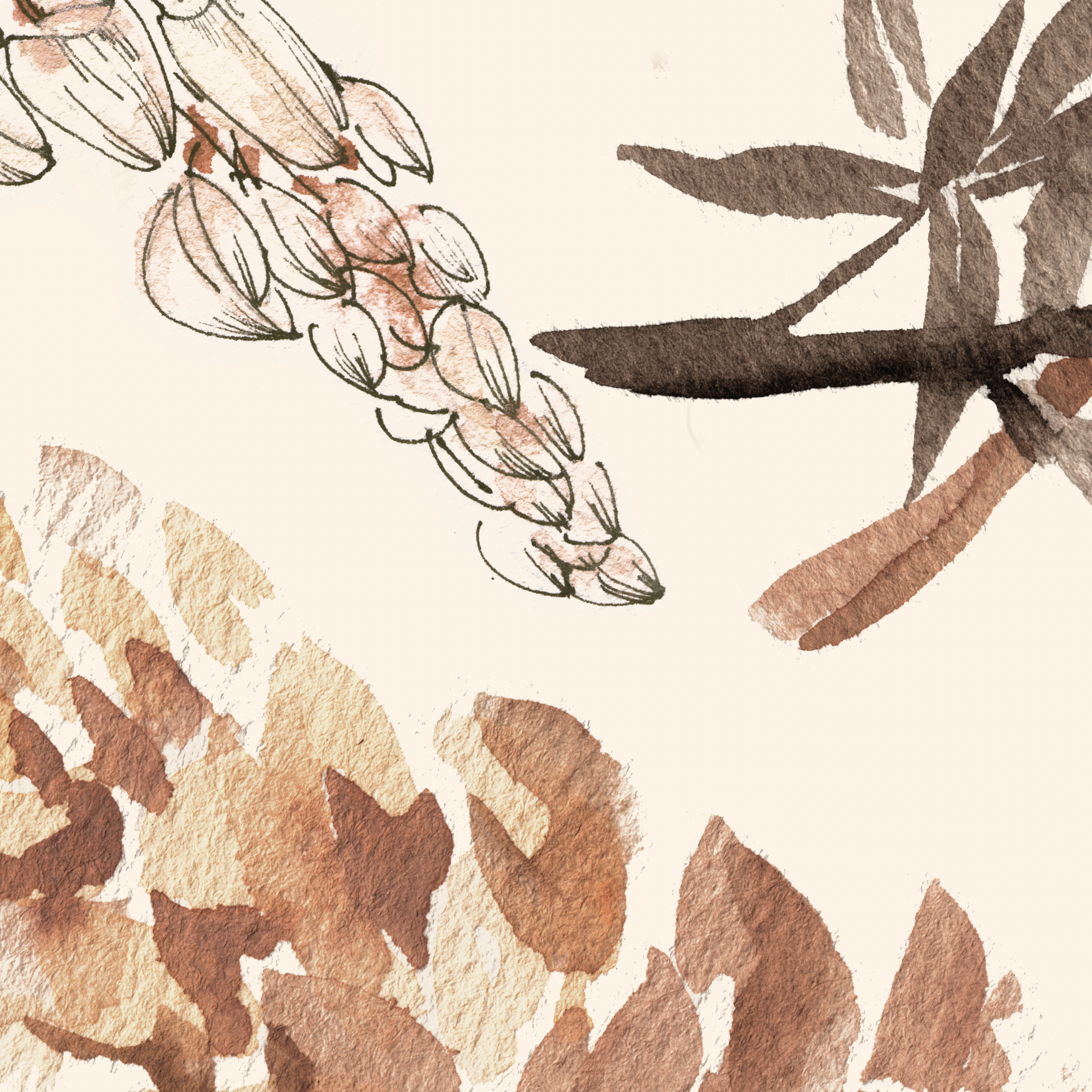 Elegant Piper’s Meadow Wallpaper from The Ania Zwara Line, showcasing floral patterns in a living room setting.