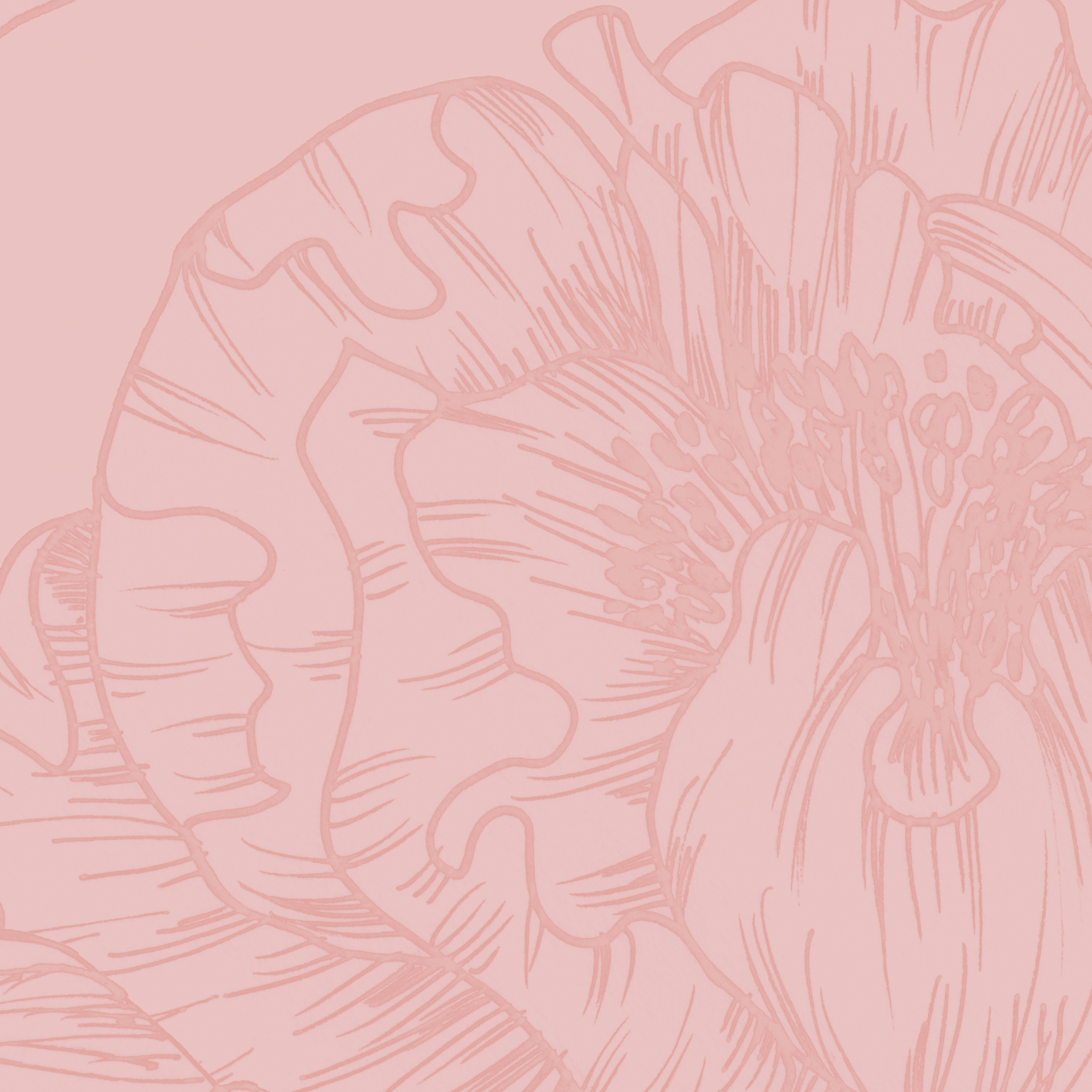 The Dutchess Pink Wallpaper from The Ania Zwara Line in a stylish room setting, showcasing the wall decor's detail.