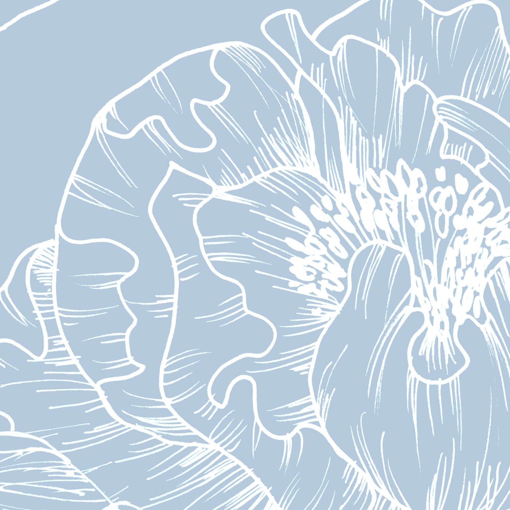 The Dutchess (Baby Blue) Wallpaper by The Ania Zwara Line, elegant floral design for a modern living room.