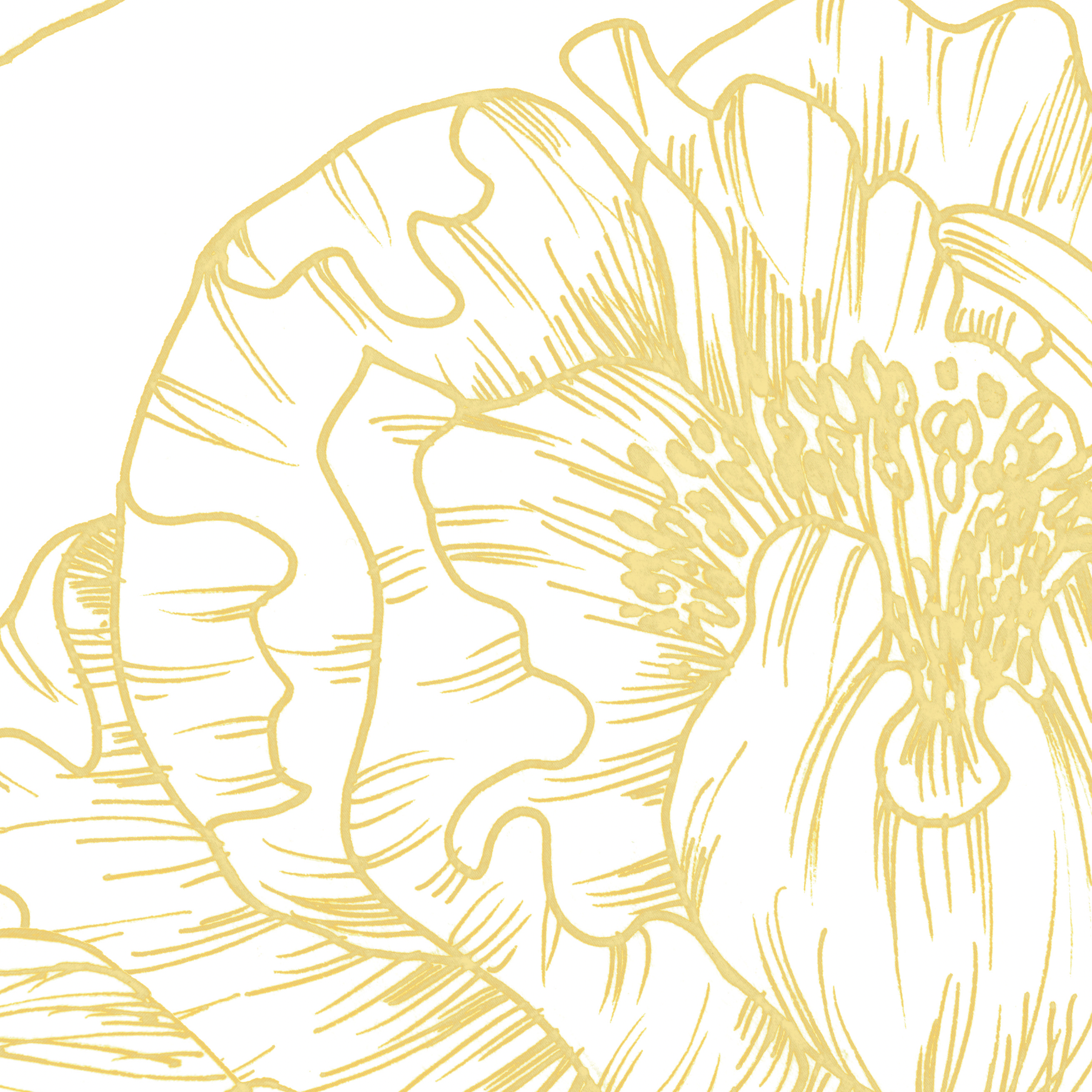 The Dutchess (Mustard) Wallpaper from The Ania Zwara Line in a stylish modern living room.