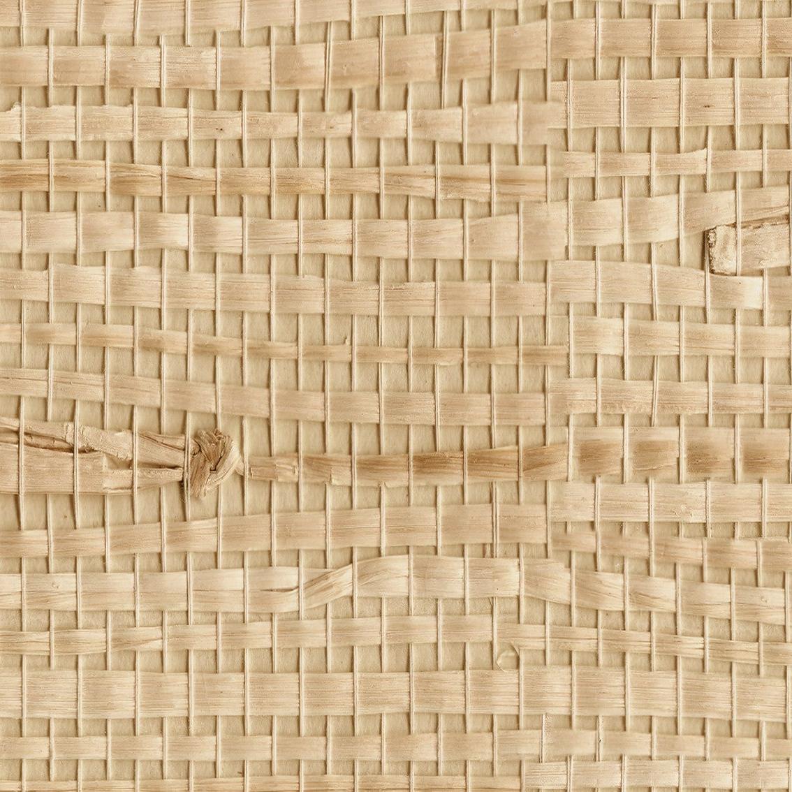 Ida Wallpaper by Wall Blush SG02, textured design, ideal for a modern living room accent wall.
(Note: There's no room shown in the image, it's just the wallpaper texture. I've included modern living room as the kind of room that could potentially feature this wallpaper design based on its texture and aesthetic appeal.)