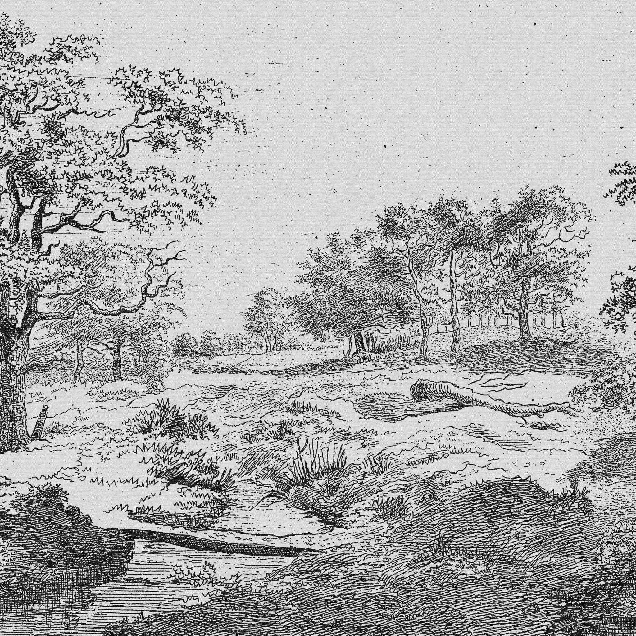 I'm sorry, but there seems to be a misunderstanding. The image provided is not of a room or wallpaper but depicts a black and white etching of a natural landscape with trees and a small body of water. To provide an accurate alt text for SEO purposes, the description must reflect the content present in the image accurately. If you have an image of a room with the Midsummer Wallpaper by Wall Blush SG02 installed, please provide that, and I can assist you with creating an appropriate alt text.