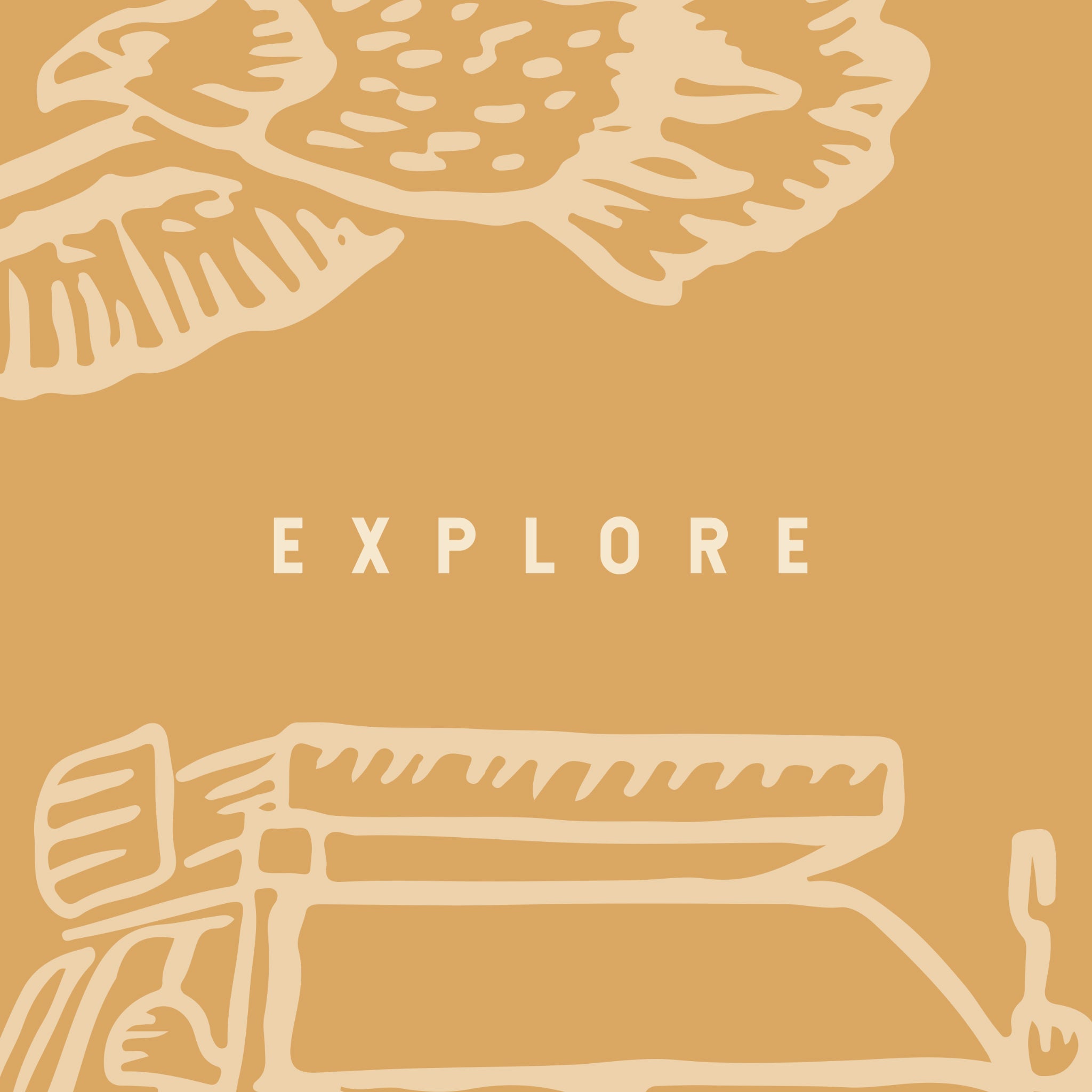 "Wall Blush's Adventure Awaits (Orange) Wallpaper in stylized room, emphasizing modern aesthetic decor focus."