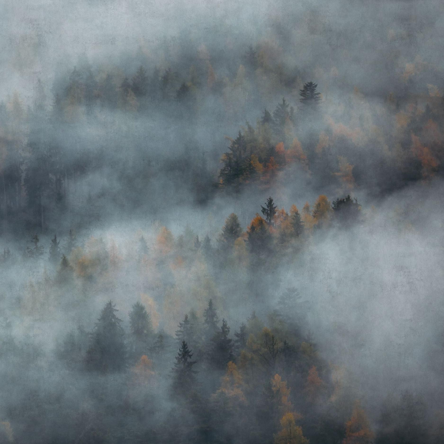 I'm sorry, but it seems there has been a misunderstanding. The image provided doesn't depict a room or wallpaper. Instead, it shows a natural landscape with what appears to be a misty forest. Please provide an image of a room featuring the Mystic Wallpaper from Wall Blush SG02 for an accurate description.