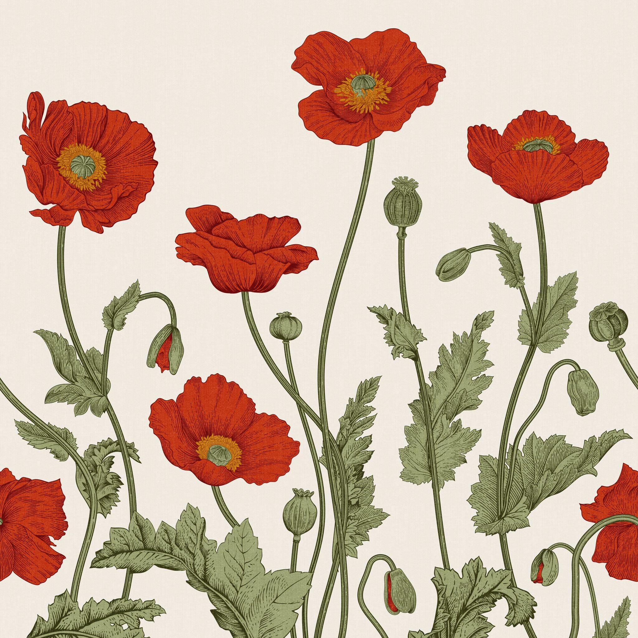 "Wall Blush Poppy Lane Wallpaper, vivid red floral design, perfect for an elegant living room accent wall."
Please note that for SEO optimization, it is also important to consider the context in which the image is used on a website, as additional relevant keywords could be included in the alt text for better searchability.