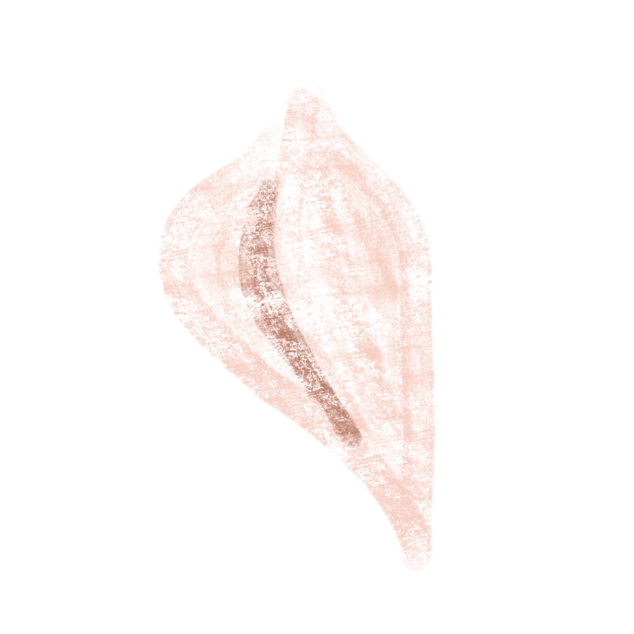 shells Wallpaper - Wall Blush SG02 from WALL BLUSH