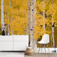 Aspen Wallpaper - 12 FT H X 9.5 FT W LUXE sample