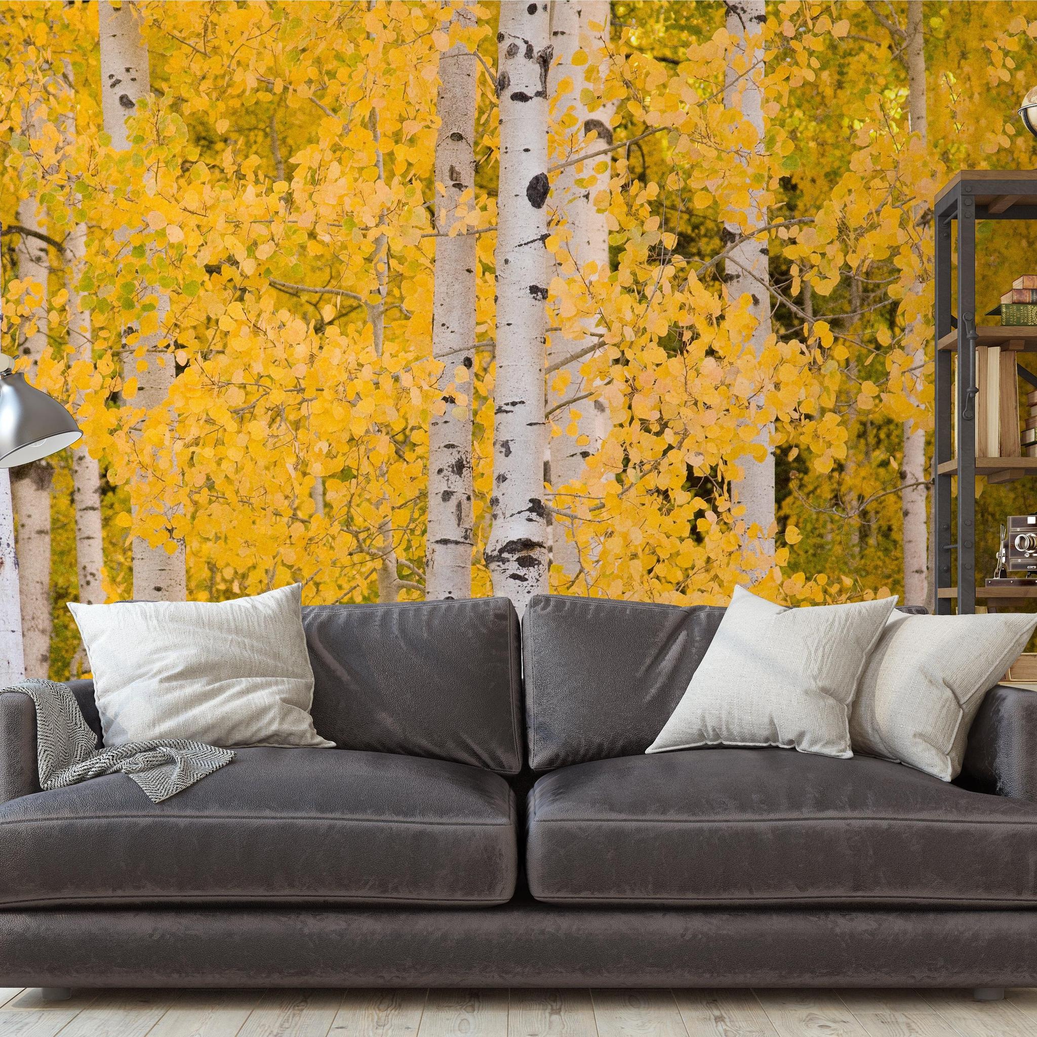 Wall Blush SG02 Aspen Wallpaper in a modern living room with cozy couch and bookshelf.