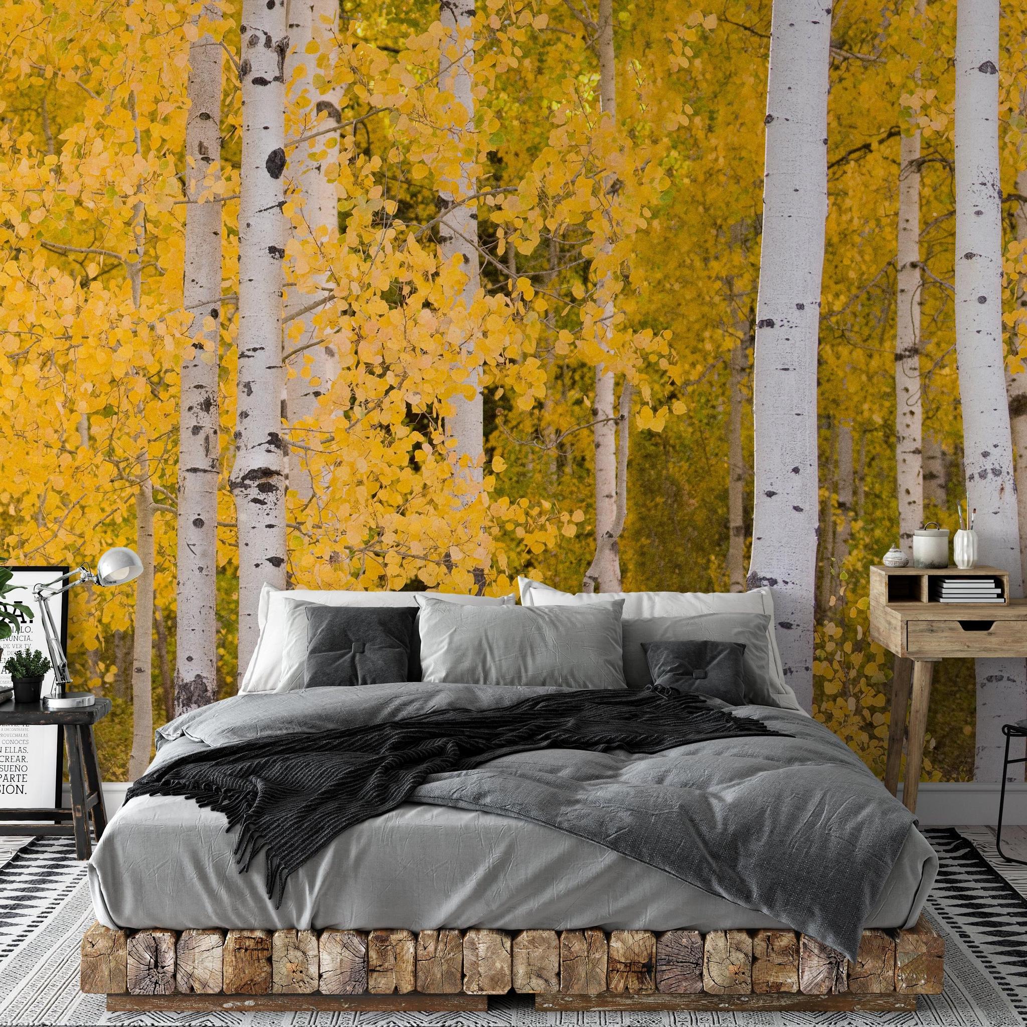 Wall Blush SG02 Aspen Wallpaper featuring a birch forest motif in a stylish bedroom setting.