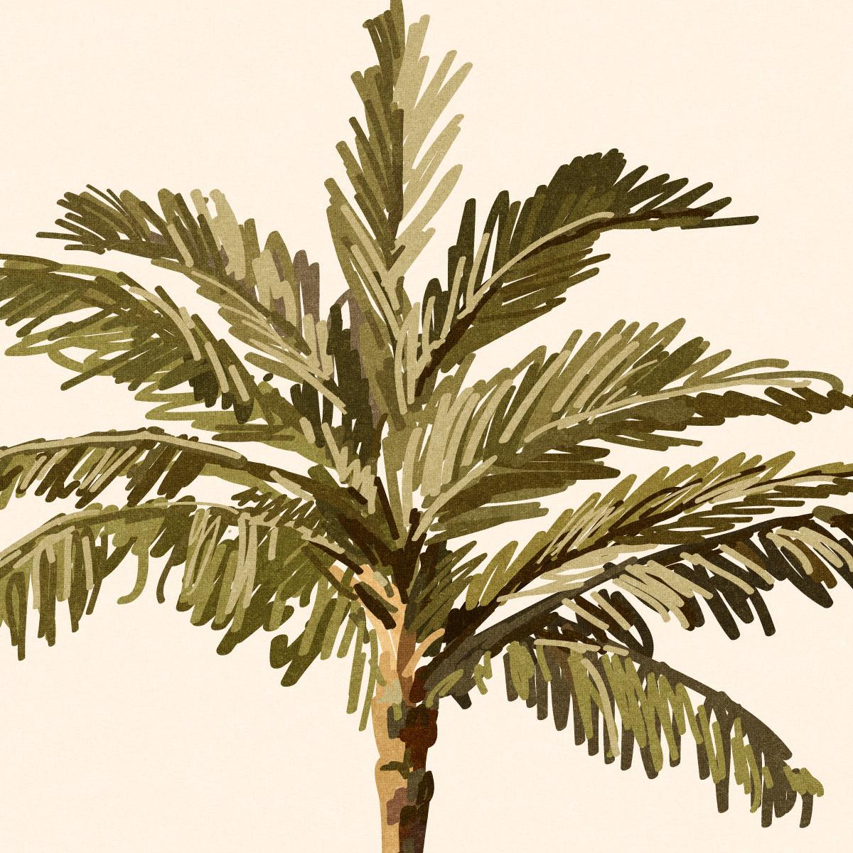 Bay of Palms Wallpaper - Wall Blush AW01 from WALL BLUSH