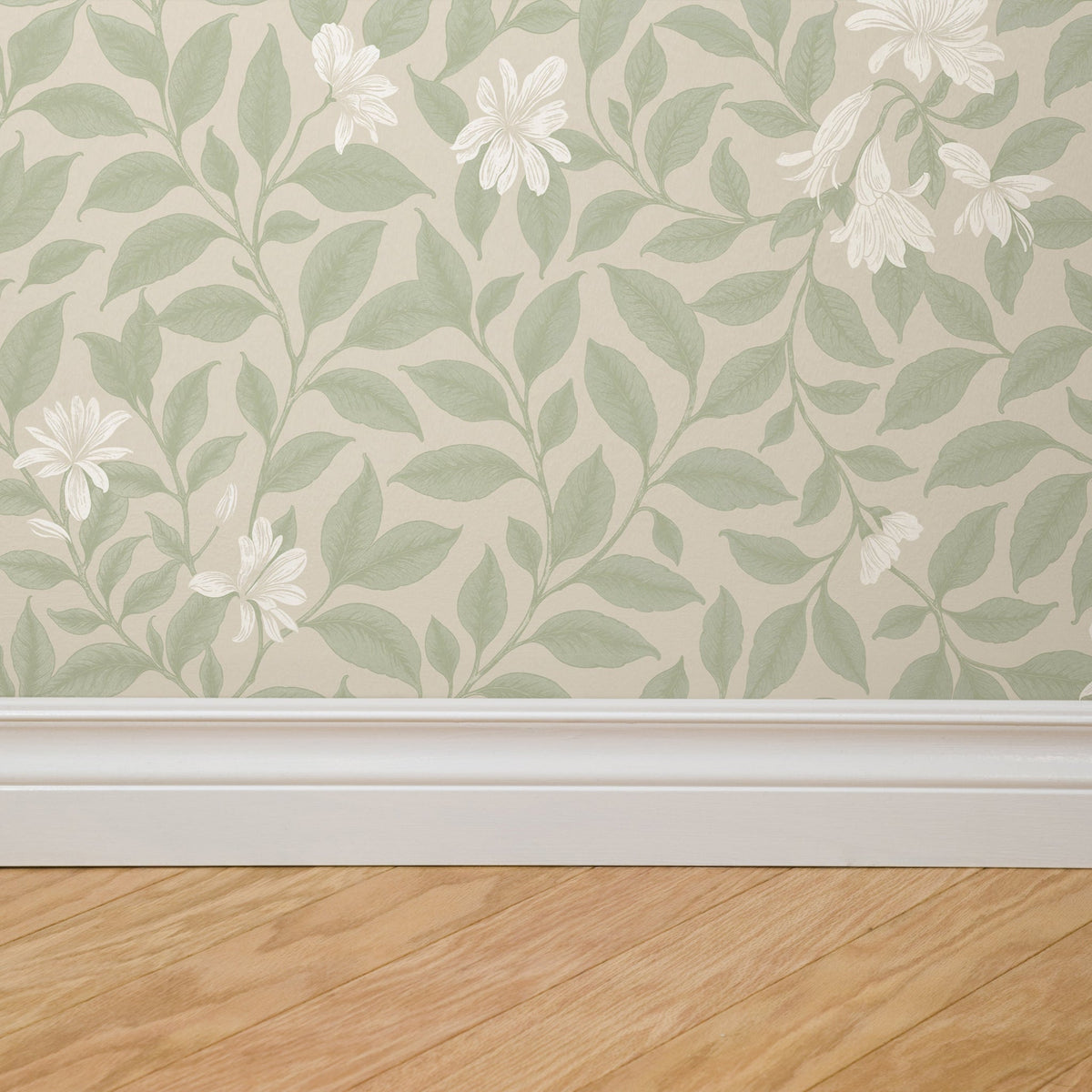 Poppy Honeysuckle Small (Cream) Wallpaper wallpaper photo 4