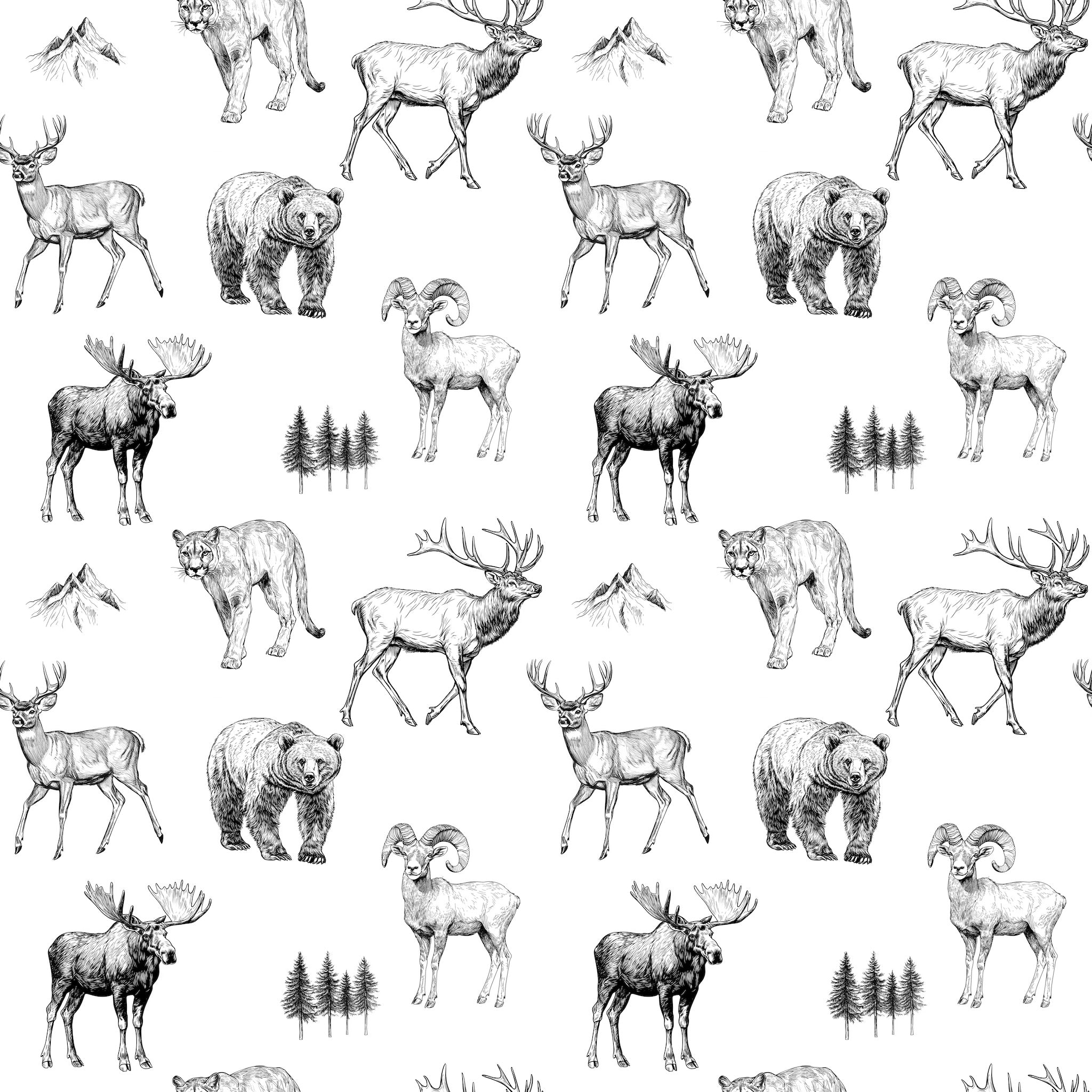 Bozeman Wallpaper