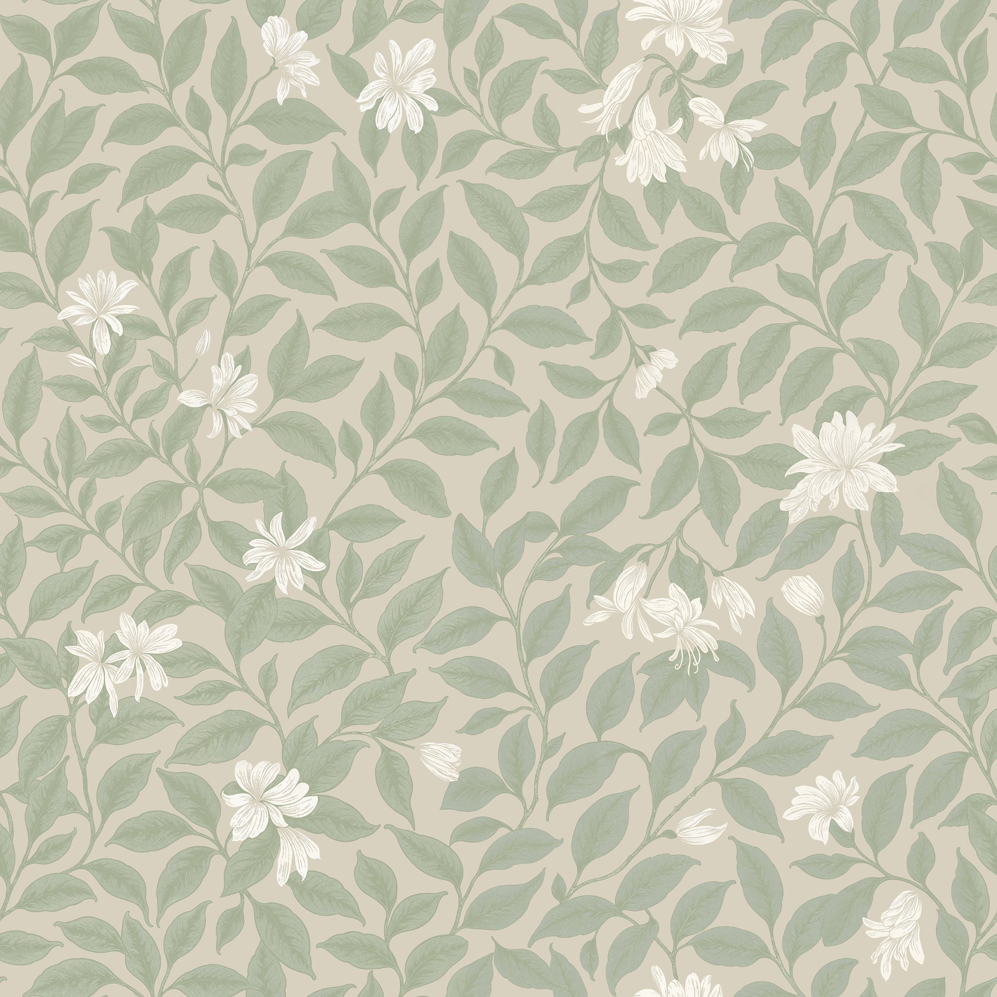 Poppy Honeysuckle Small (Cream) Wallpaper