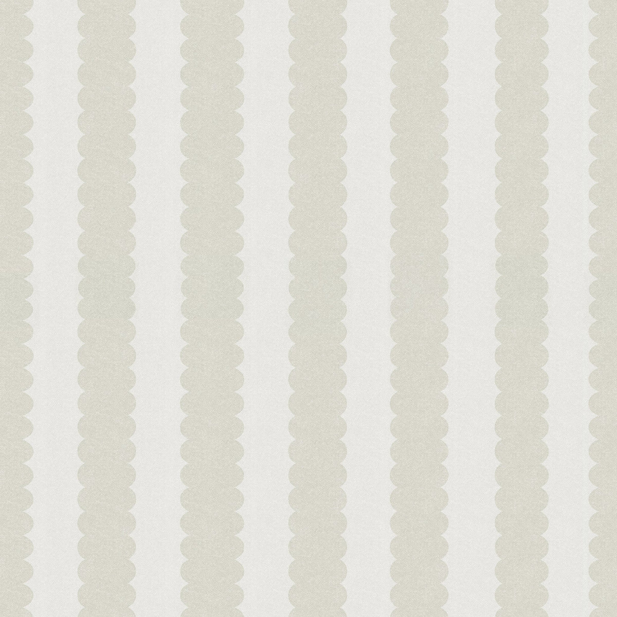 Teddy Scallop (Medium) Wallpaper - 10 FT H X 10 FT W Peel and Stick