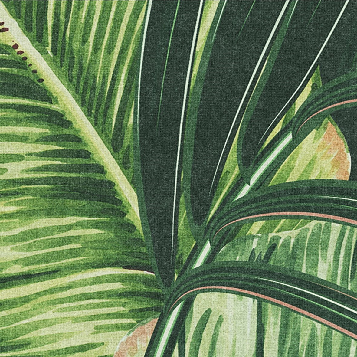"Sterlitzia Wallpaper by Wall Blush, tropical patterned decor in a contemporary living room setting."