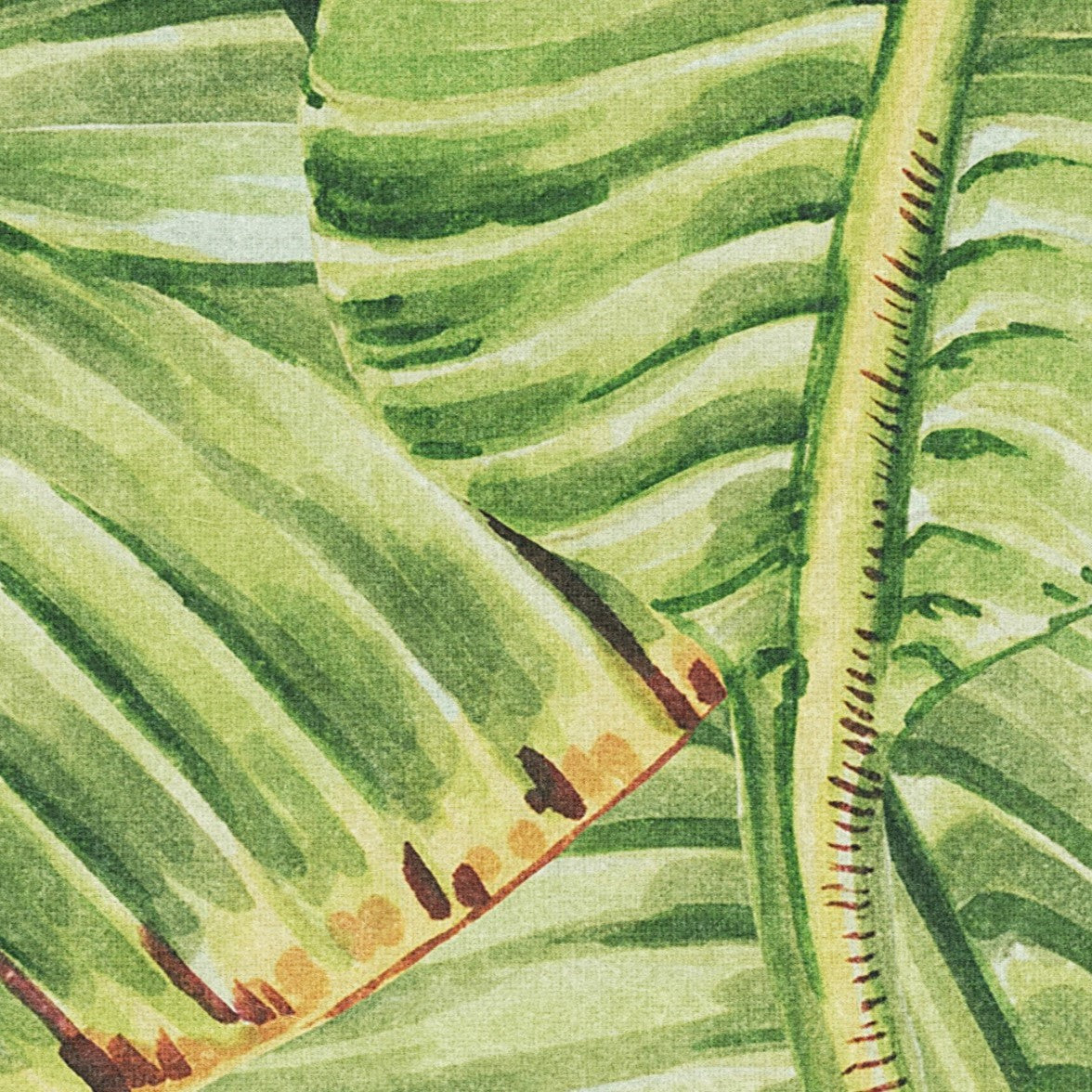 "Close-up of Sterlitzia Wallpaper by Wall Blush with green botanical pattern for a modern living space."