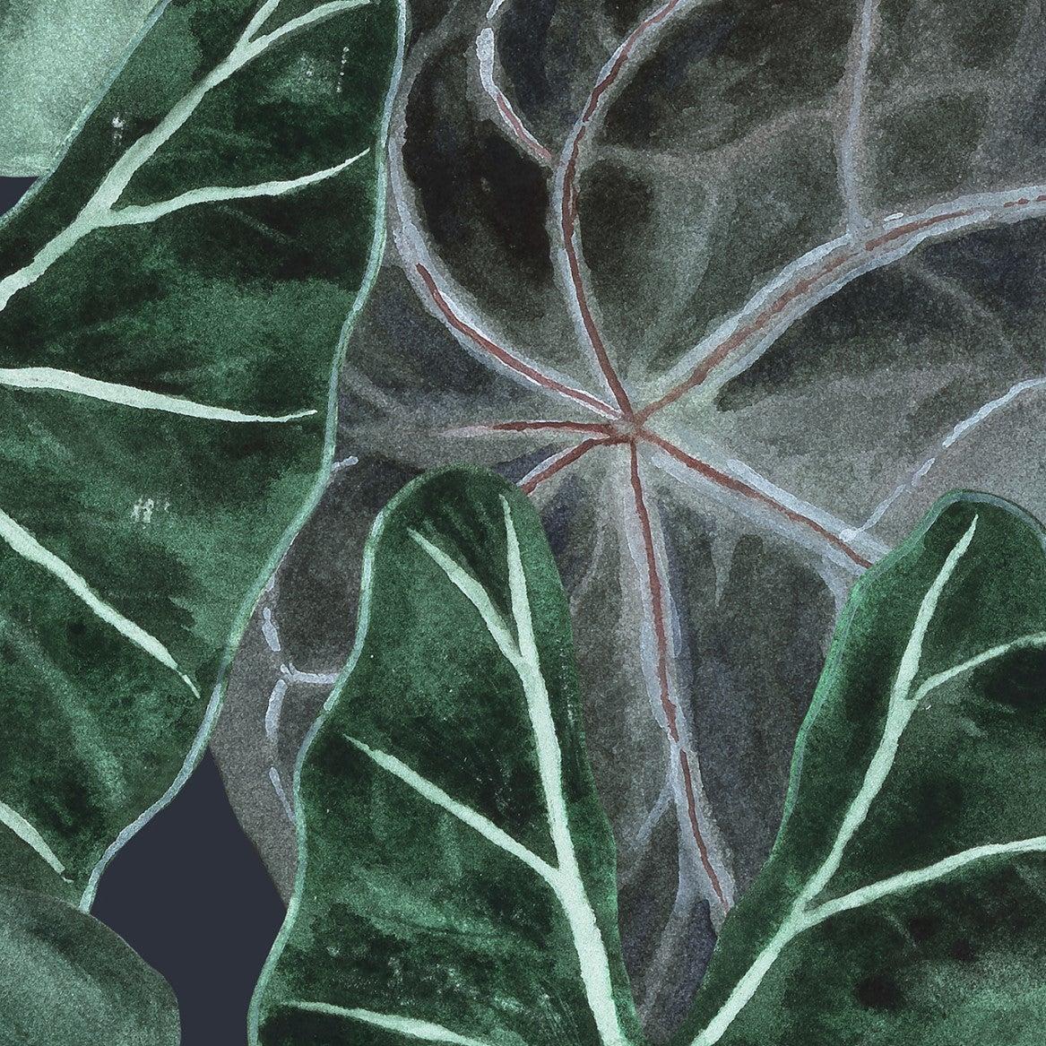 Aloha Wallpaper by The Nida Jahain Line with tropical leaf design in a modern living room setting.
