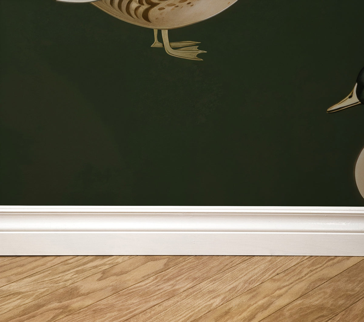 Deep green wallpaper with mallard duck illustration above white baseboard.