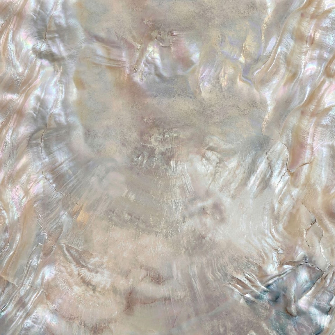 Iridescent textured wallpaper with soft hues and organic flowing pattern.