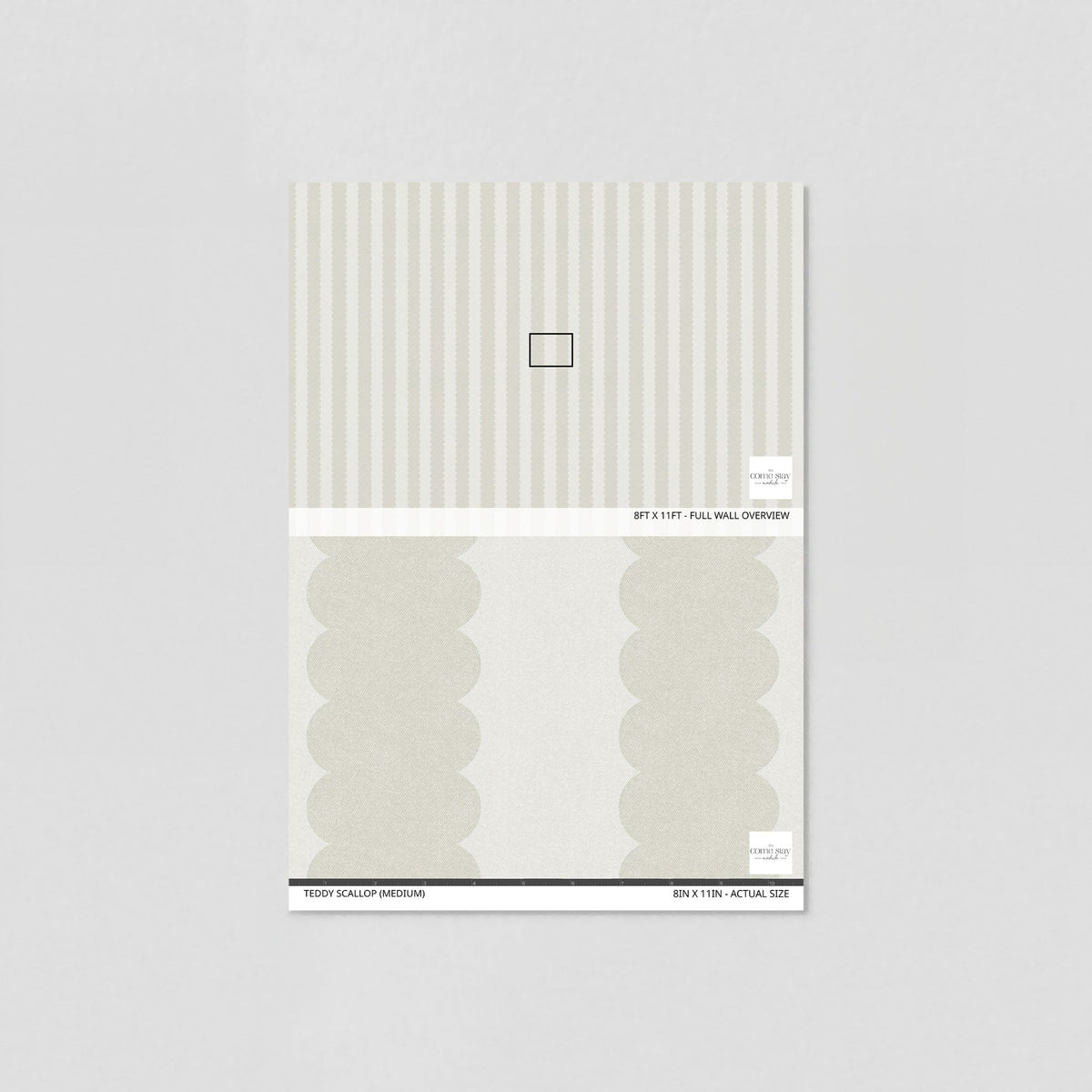 Teddy Scallop (Medium) Wallpaper wallpaper photo 6