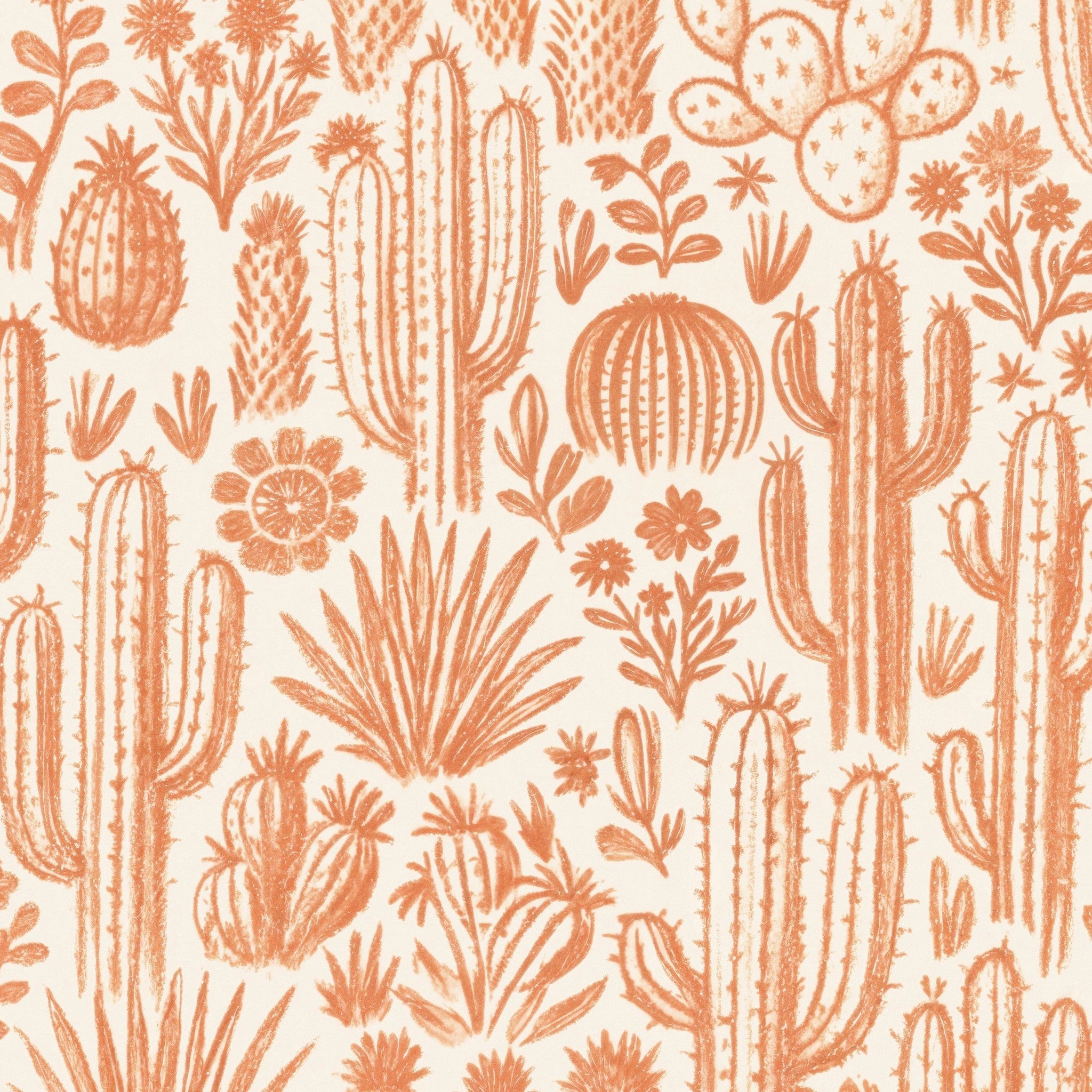 Terracotta cactus and floral wallpaper with desert theme.