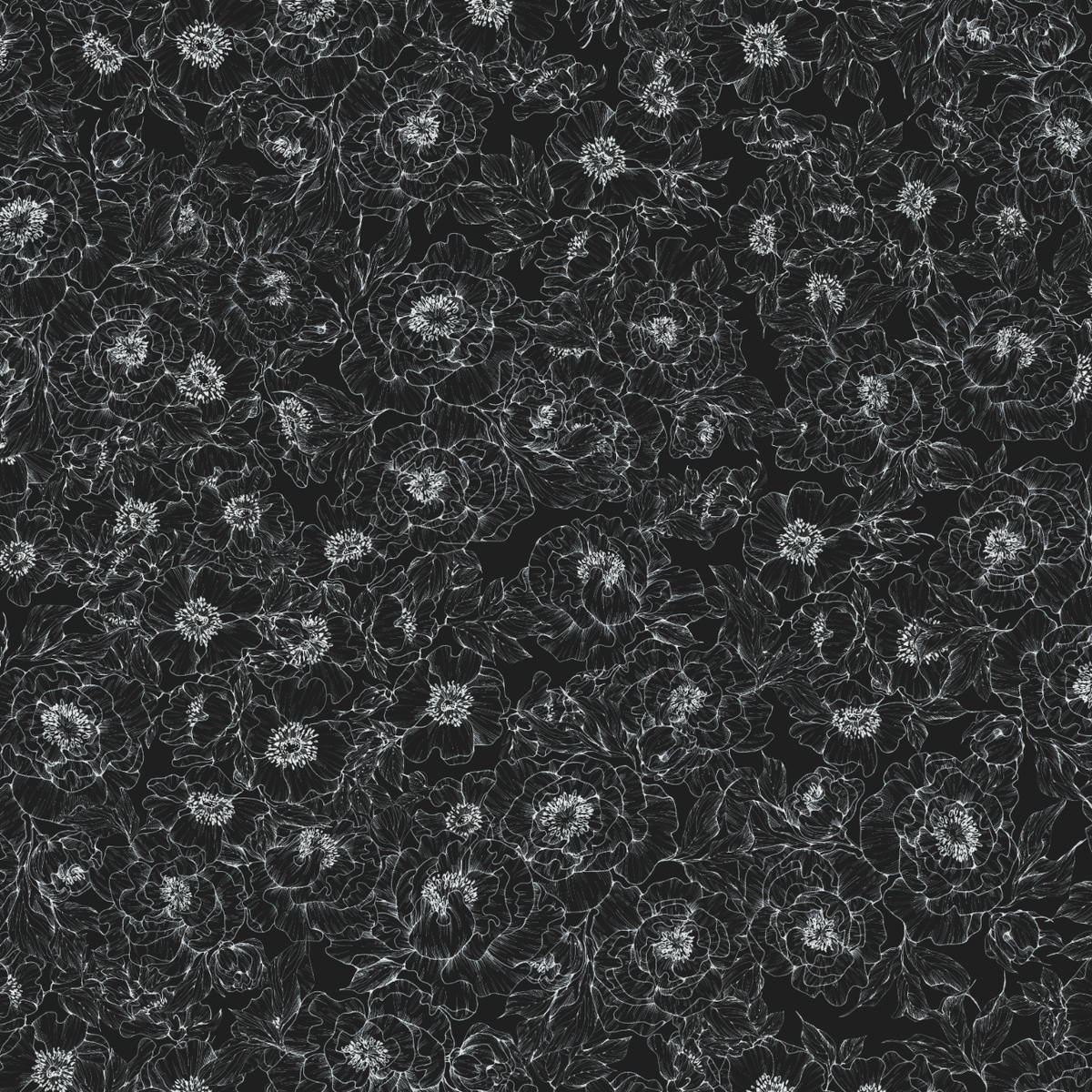 The Dutchess (Black) Wallpaper wallpaper photo 6