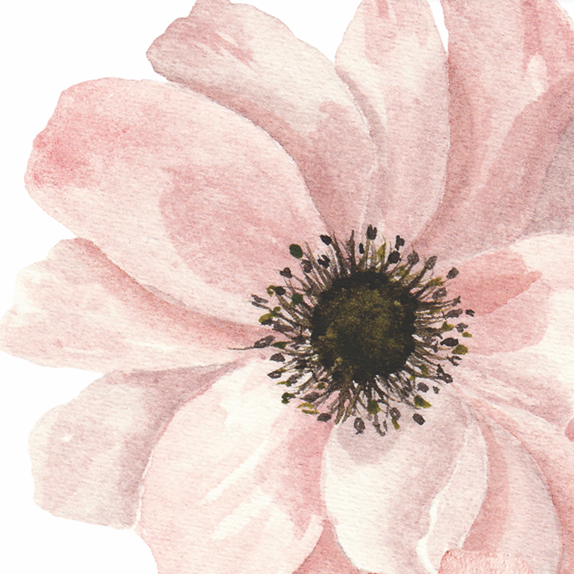 Close-up of Dragonlily (White) Wallpaper by Wall Blush with delicate floral design, ideal for elegant room decor focus.
