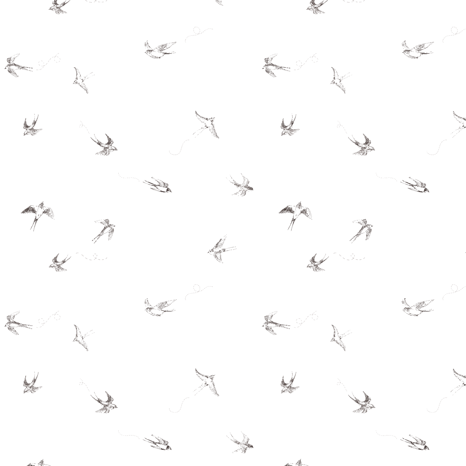 Since the image only displays the wallpaper pattern and not a room where it is applied, I cannot describe the type of room. However, I can focus on the wallpaper design itself:

"Wall Blush Of a Feather (White) Wallpaper featuring elegant bird illustrations for modern decor."