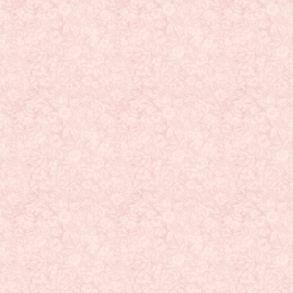 Charlotte's Chantilly Wallpaper wallpaper photo 5