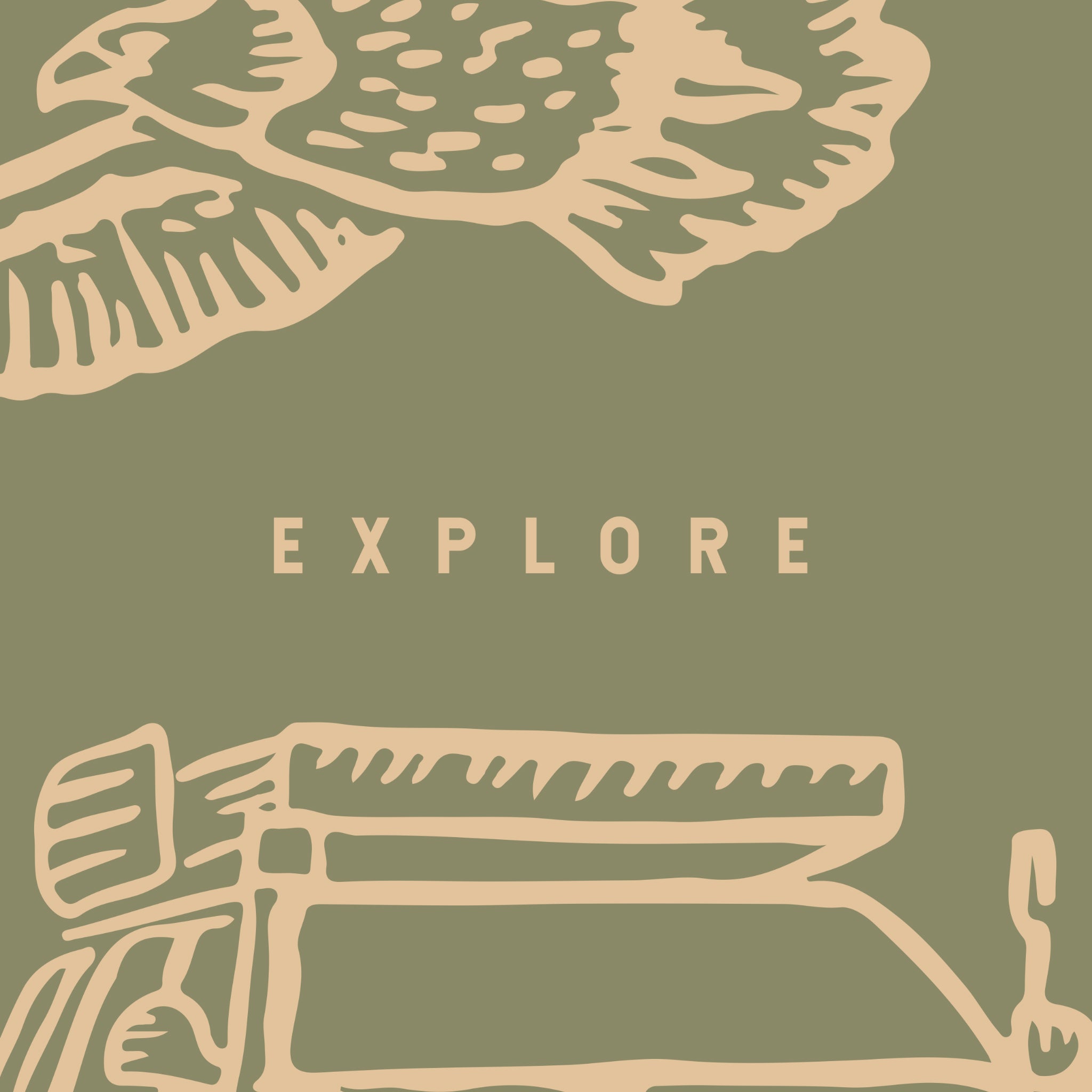 "Wall Blush 'Adventure Awaits (Green)' wallpaper in a modern styled room, highlighting elegant wall decor."