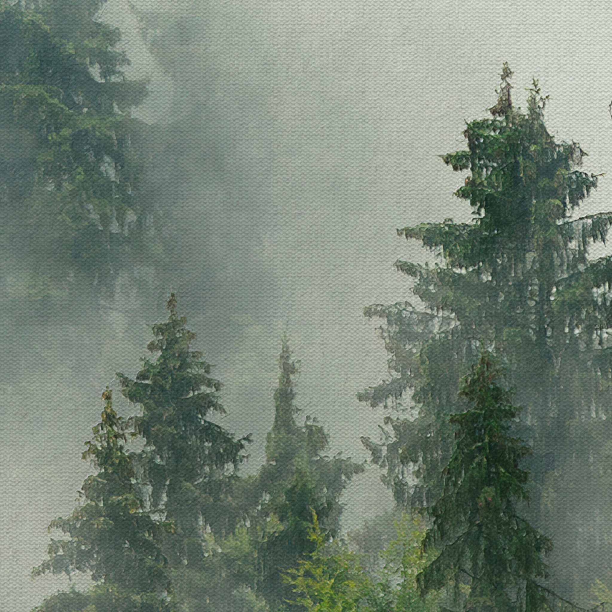 "Pinetop Wallpaper design by Wall Blush, showcasing forest pattern in a living room setting, enhancing home decor."