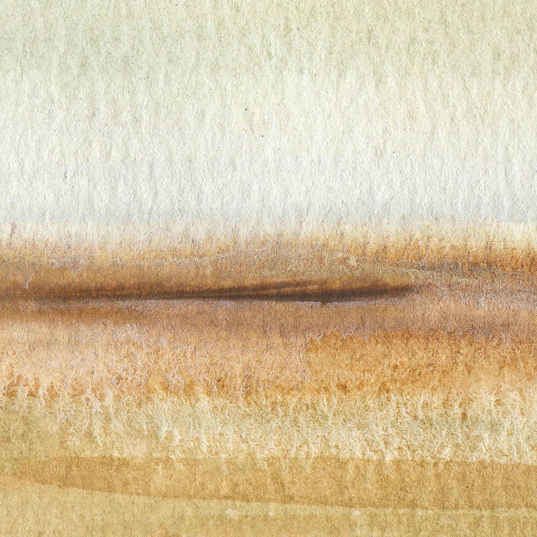 Palm Spring Wallpaper - The A&S Line from WALL BLUSH